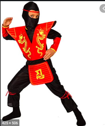kung fu ninja.png