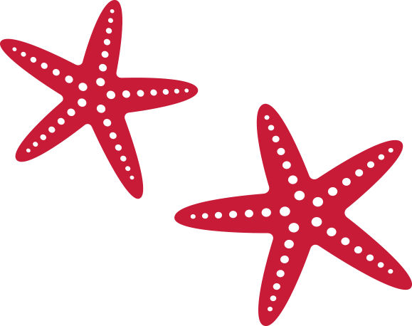 LADYJ-Art-Icons-Starfish-Red.png