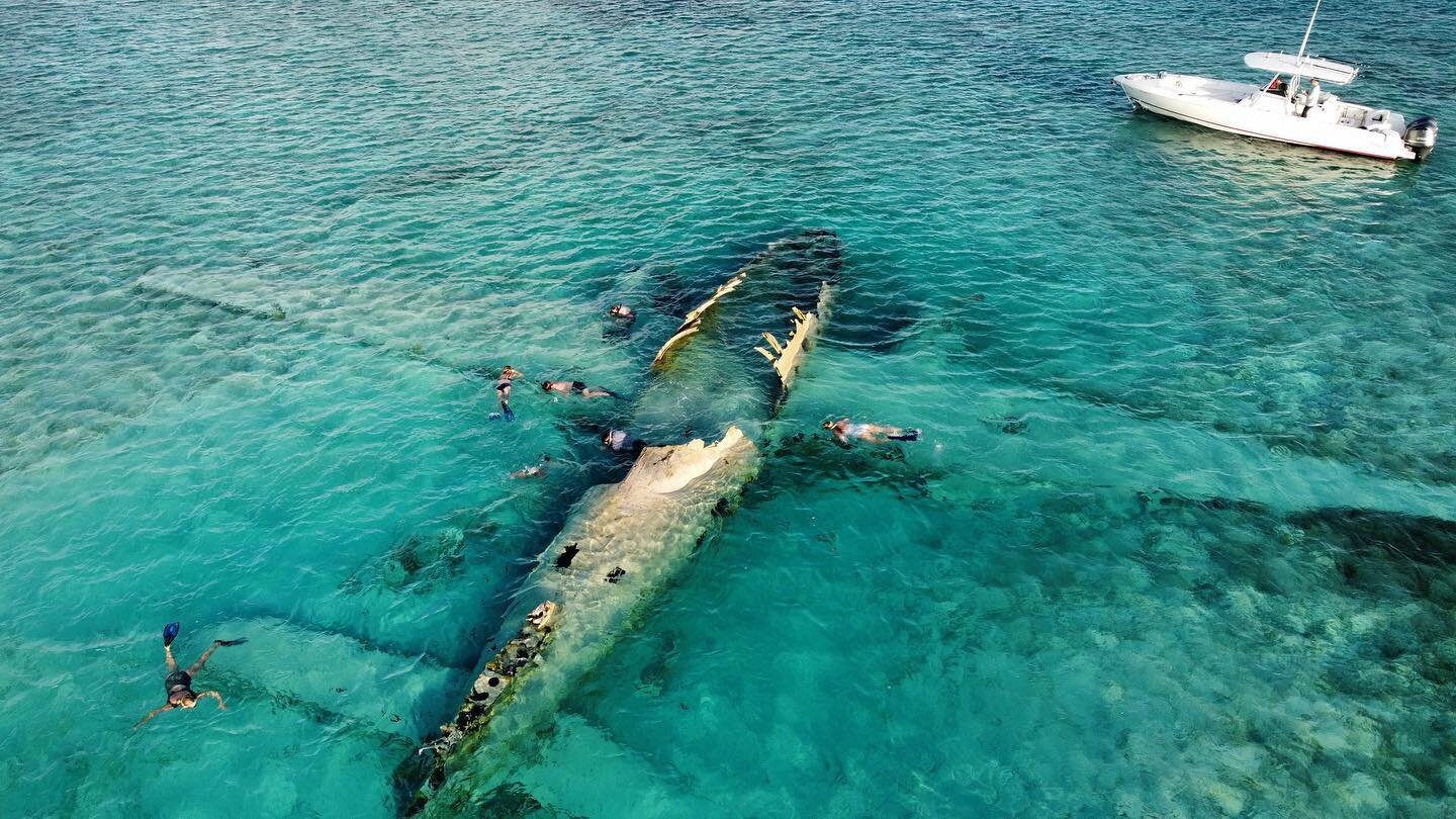 Swimming Into the Summer Like... 🌊 ✈️ 🤿