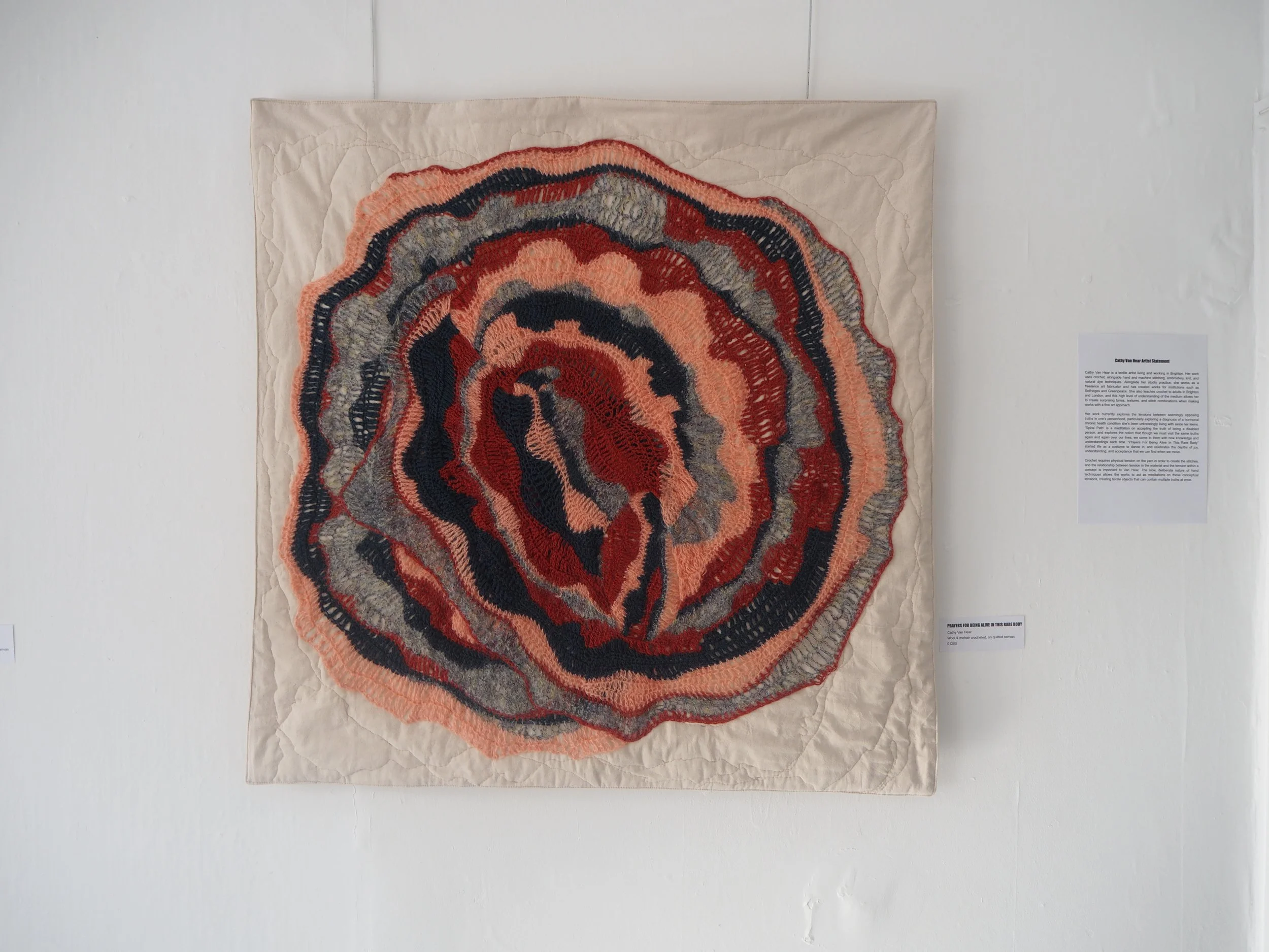 PFBAITRB- Crochet artwork - textile wallhanging - 1.JPG