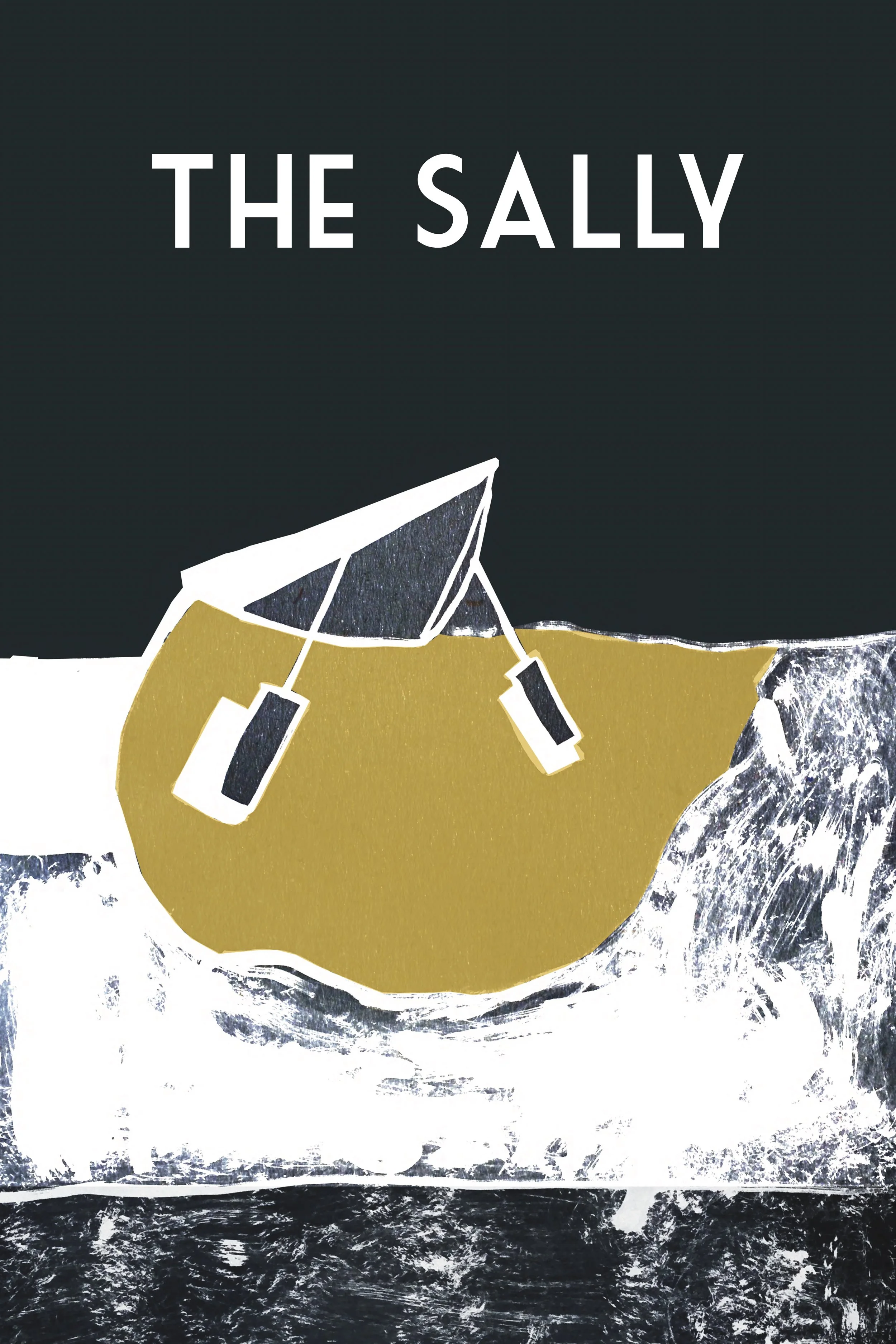 Voice of the City and The Broad-Axe Publics Company present The Sally a new play by Russell Block January 19th, 21st, 26th, and 27th