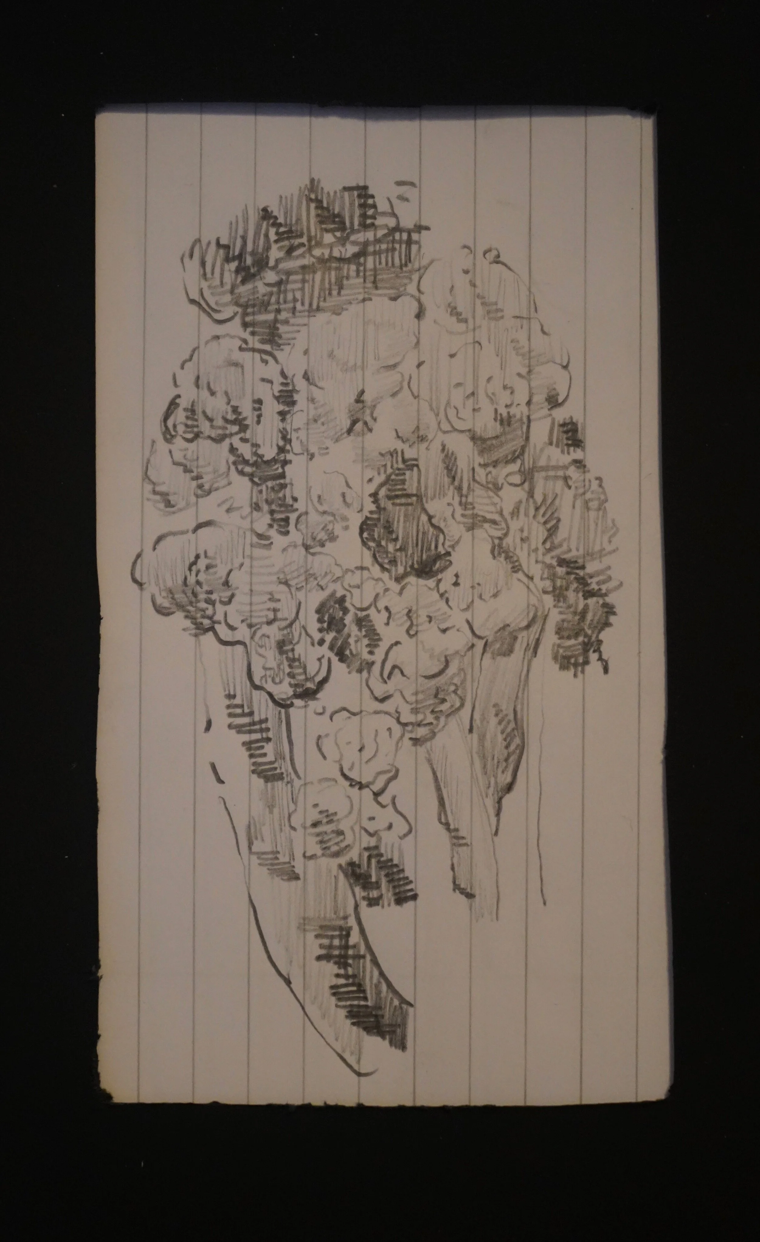 An excerpt from Amber -- by Russell Block