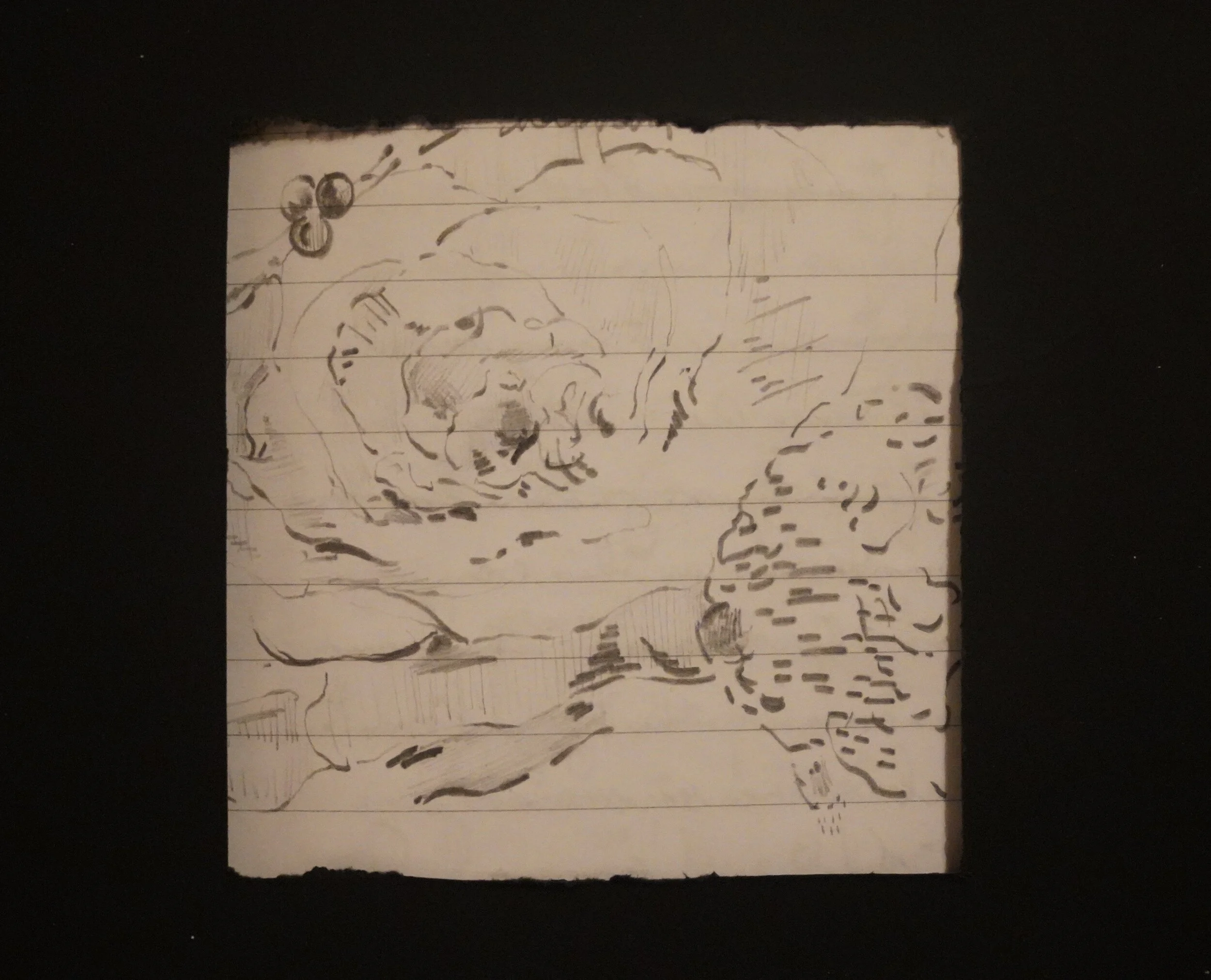 Notes from the Editor's Desk - 11/15/19