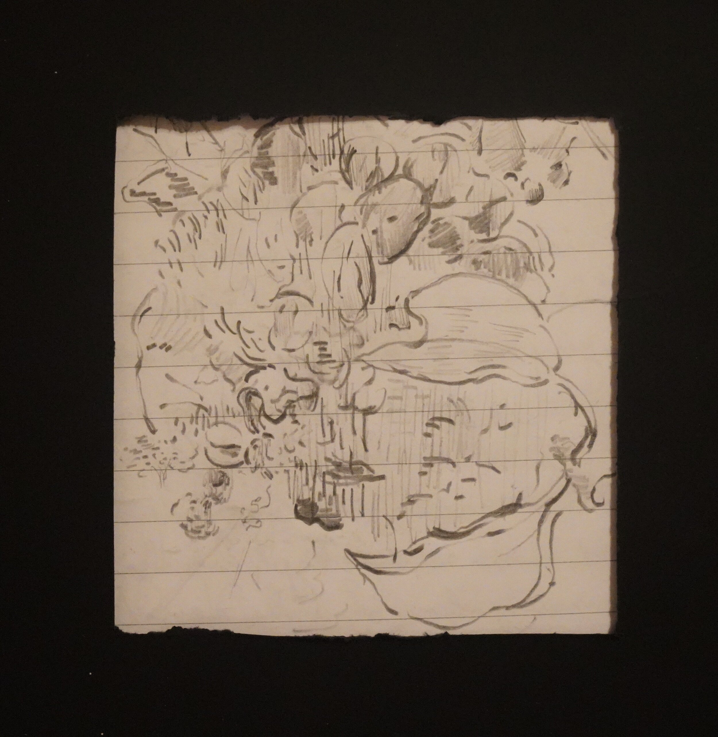 Notes from the Editor's Desk