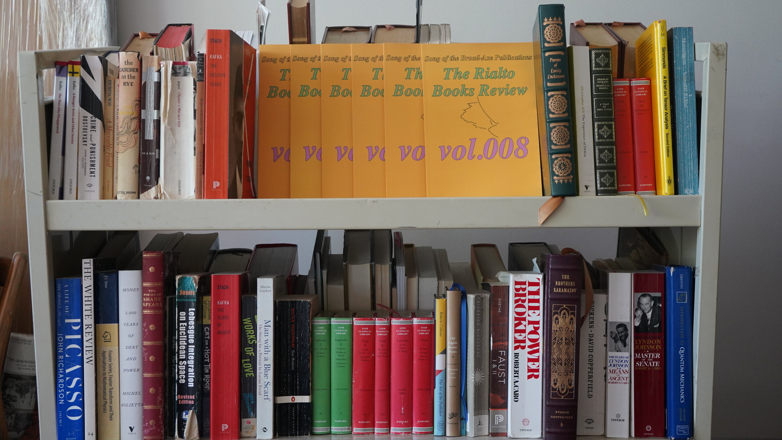 The Rialto Books Review vol.008