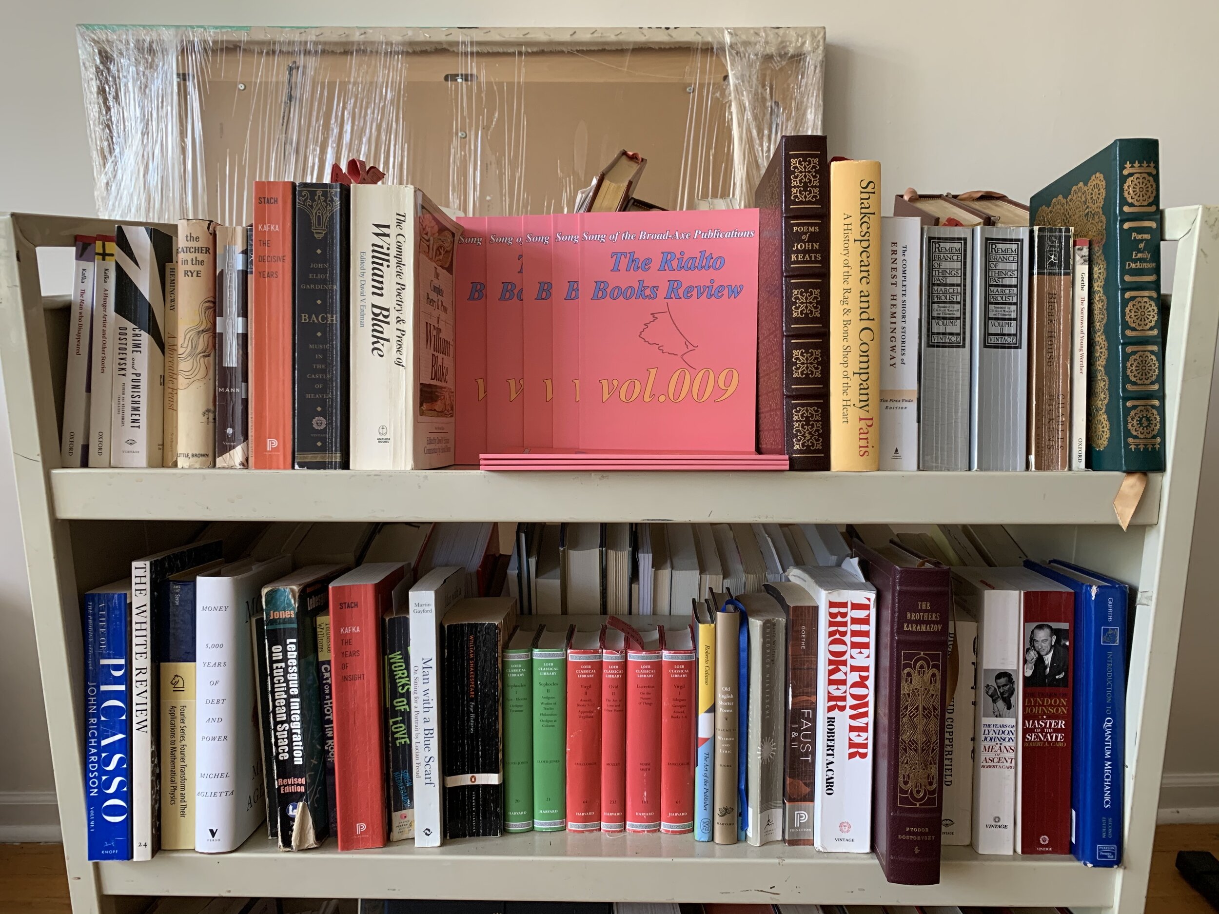 The Rialto Books Review vol.009