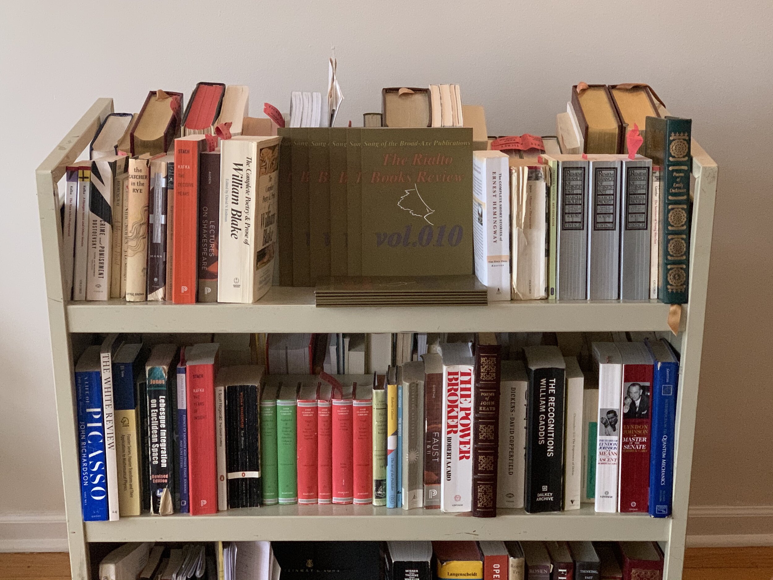 The Rialto Books Review vol.010