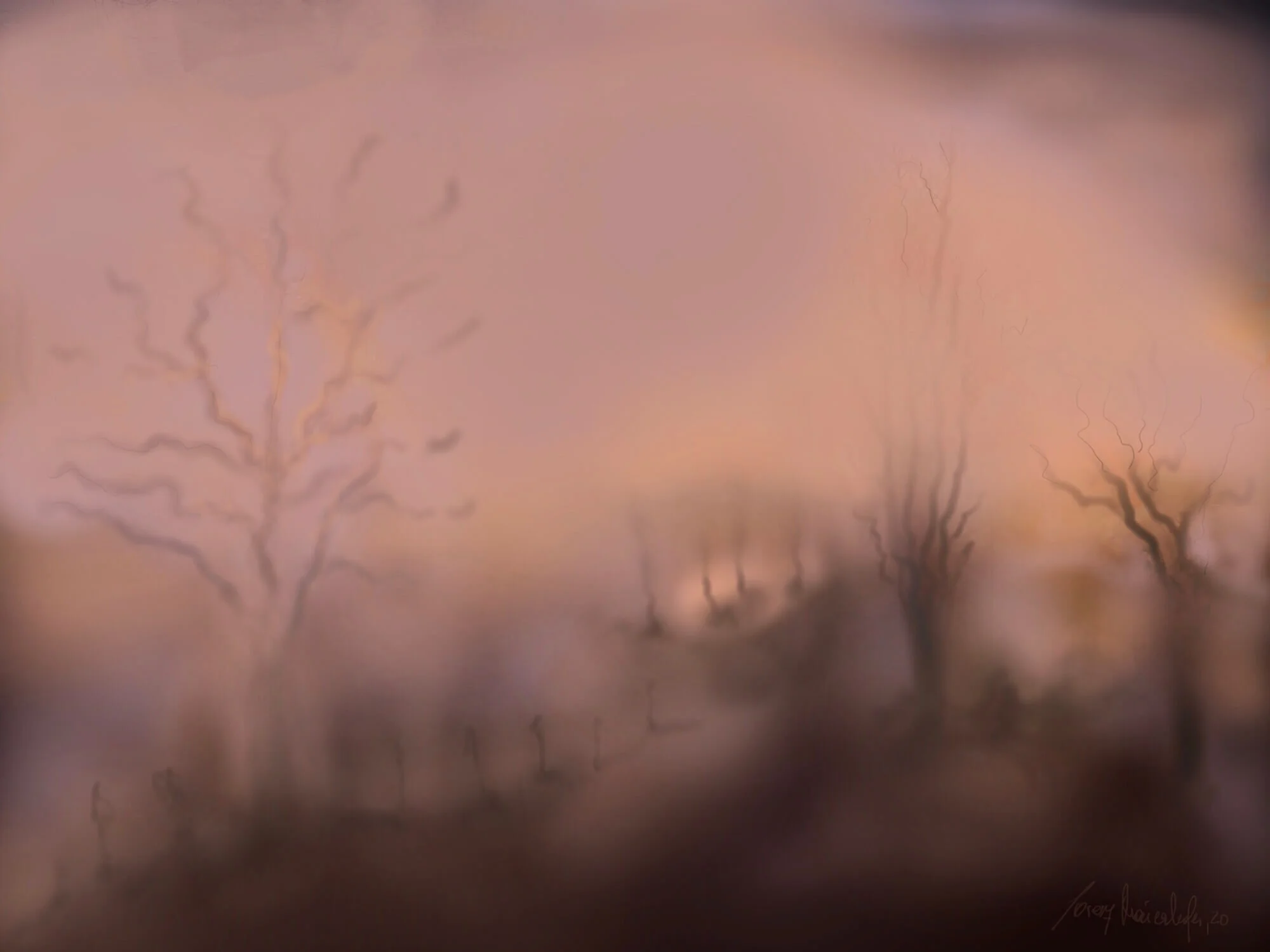 DAWN - lorenz maierhofer