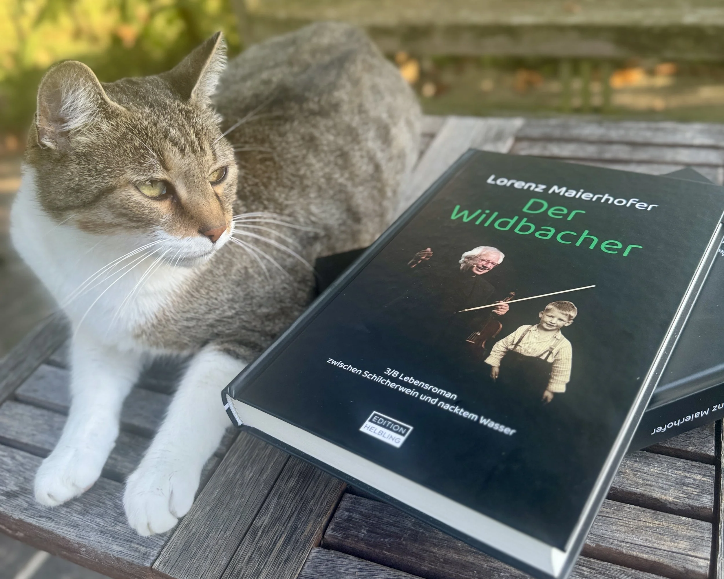 DER WILDBACHER - 3/8 Lebensroman zwischen Schilcherwein und nacktem Wasser (Verlag HELBLING, 2026)