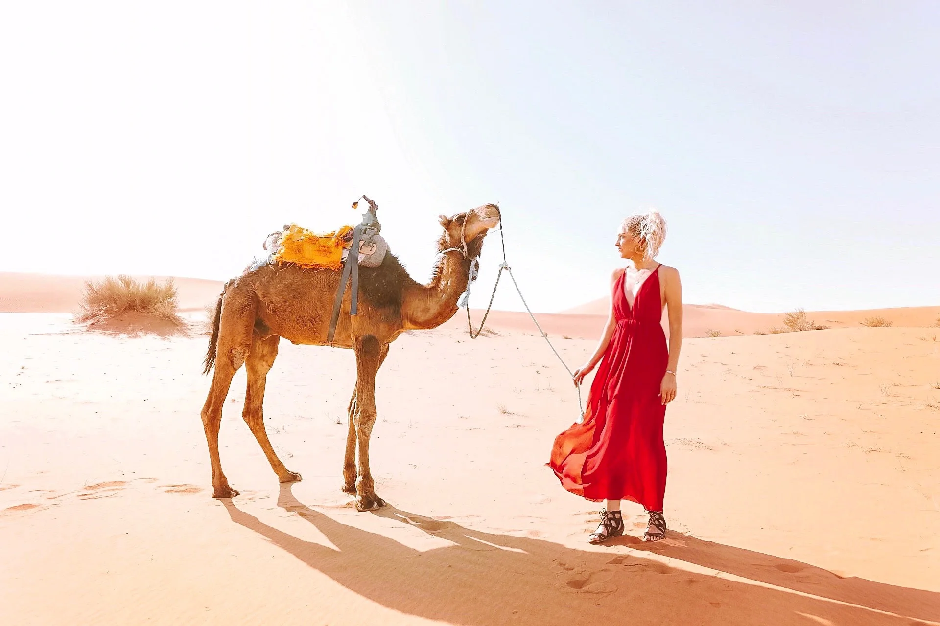 More Americans are Traveling Abroad in 2019