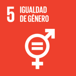 sdg-es-05.png