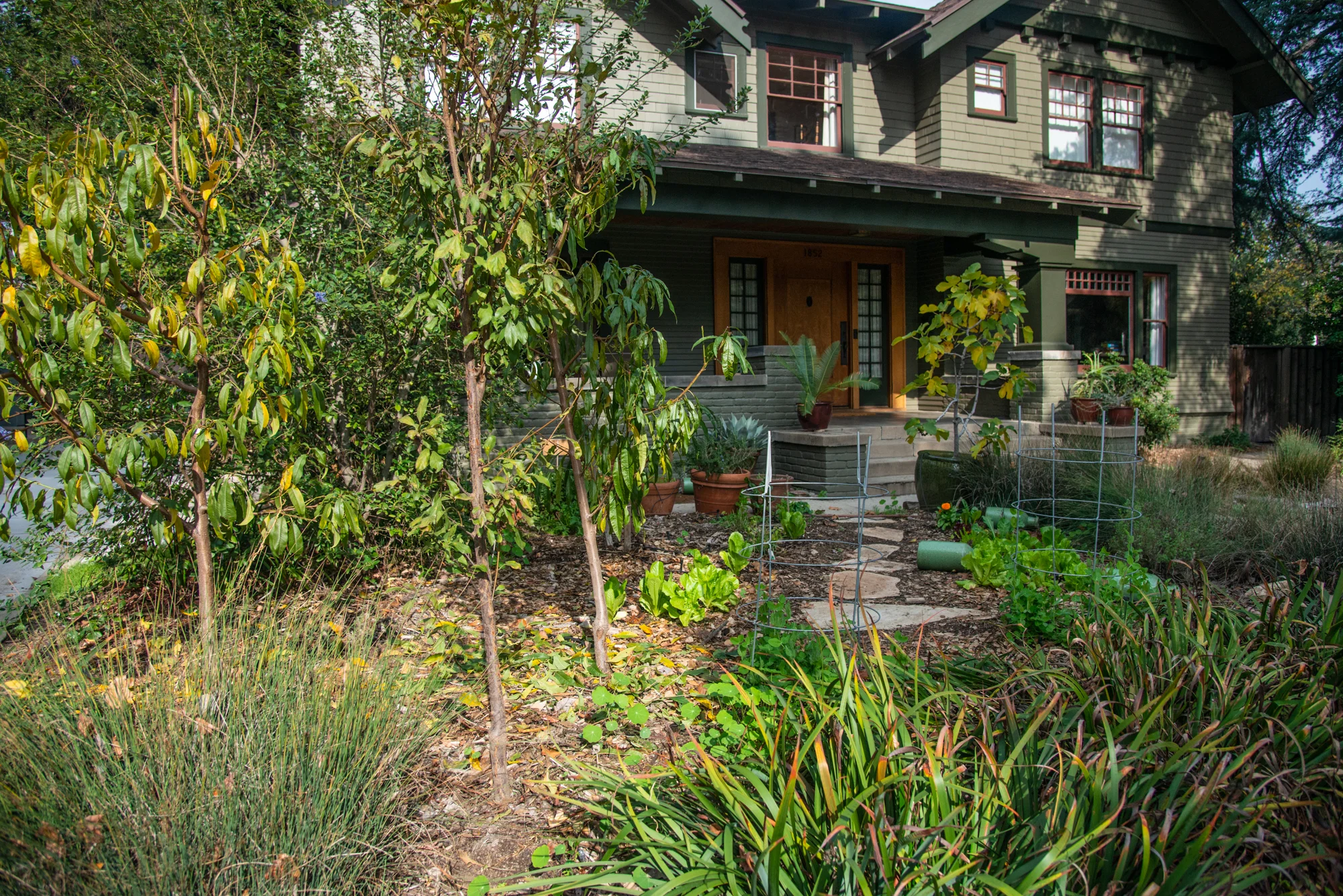 The Eisenstein’s edible garden: kid friendly, surrounded by native irises and juncus and wildflowers. (Photo: David Newsom)