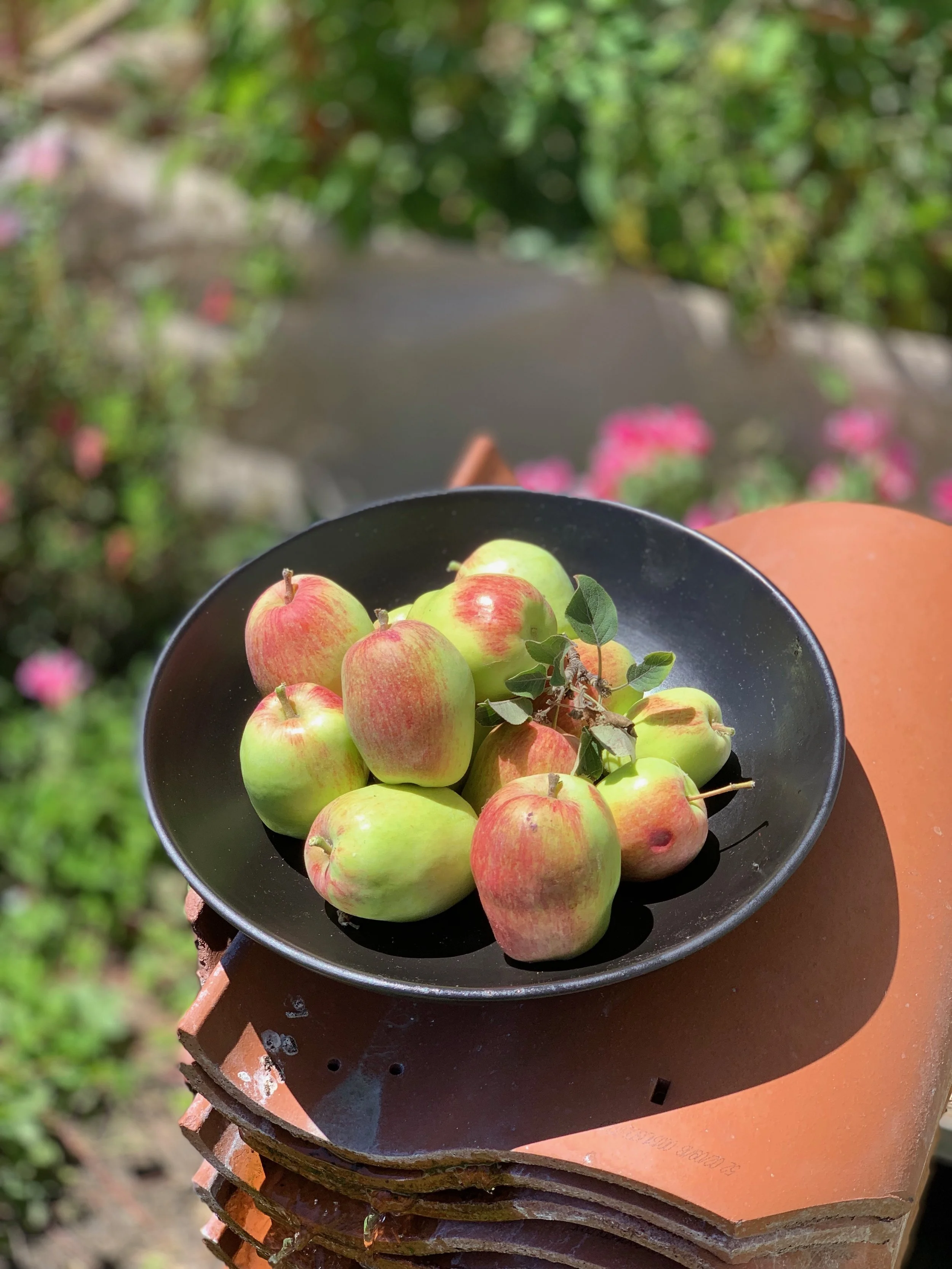 Freshly Harvested Apples atop a terra-cotta water element