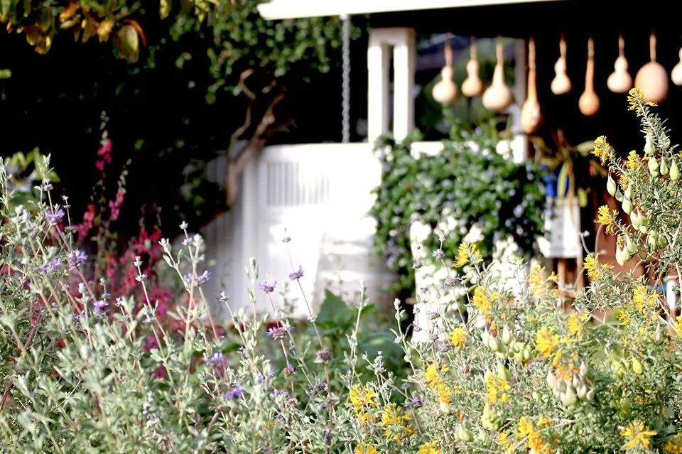 Workshop: Sustainable Practices in Your California Native Garden