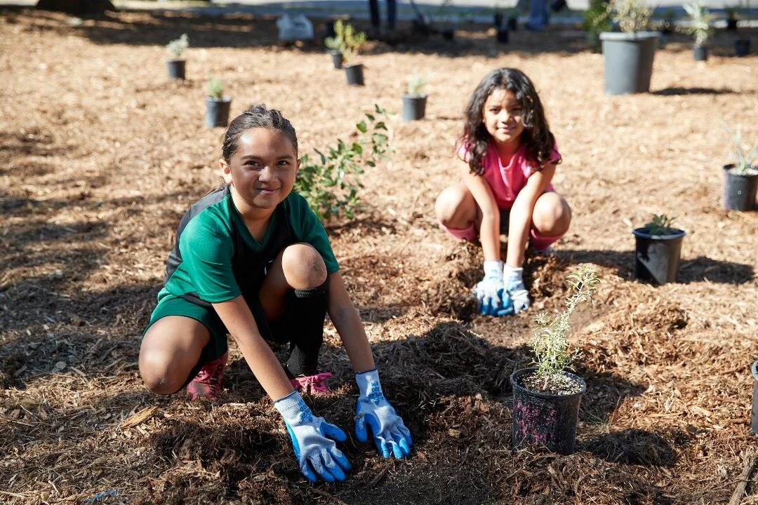 Garden Maintenance: Our Eagle Rock Presbyterian Habitat Garden Need You!