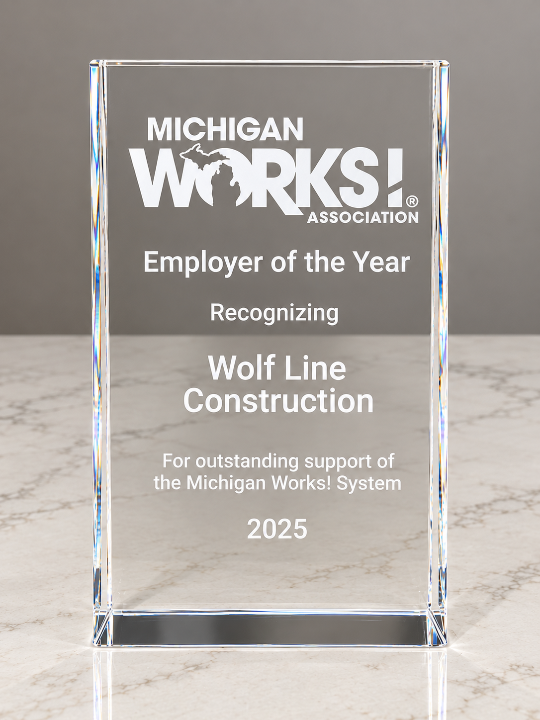 Michigan Works Employer of the Year award