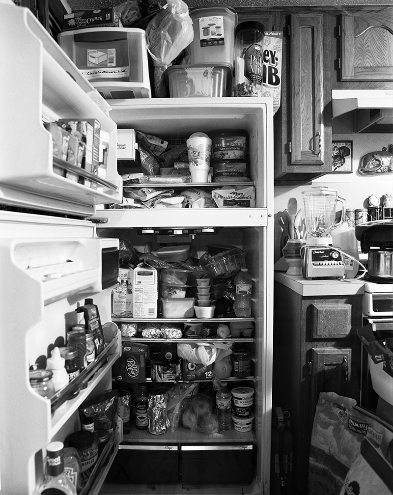 27 dana's fridge open118.jpg