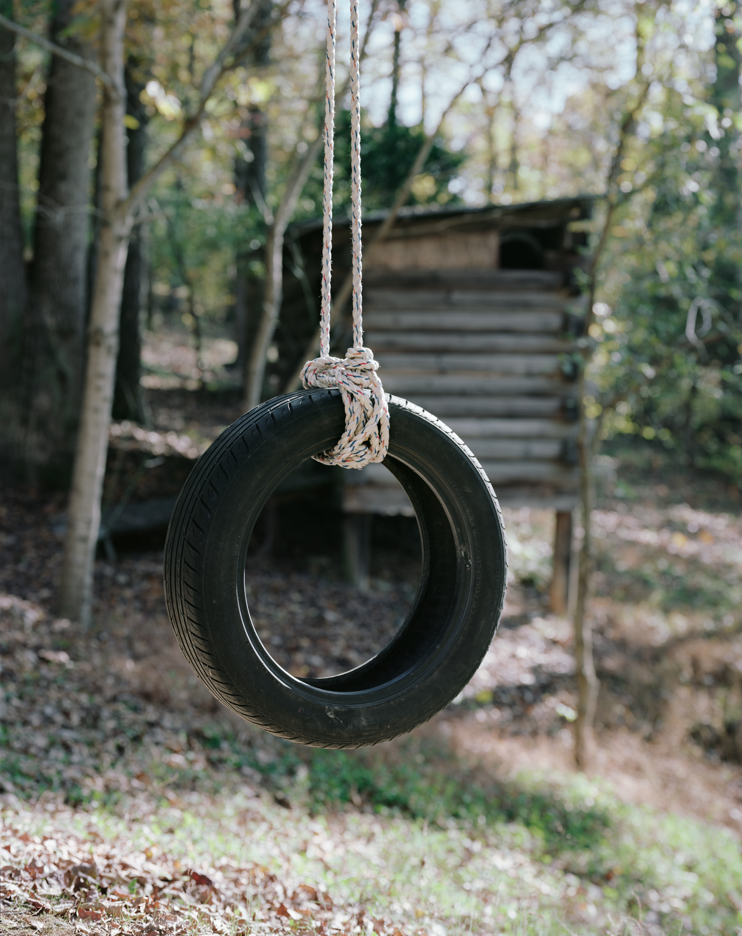 tire-swing(24x30).jpg