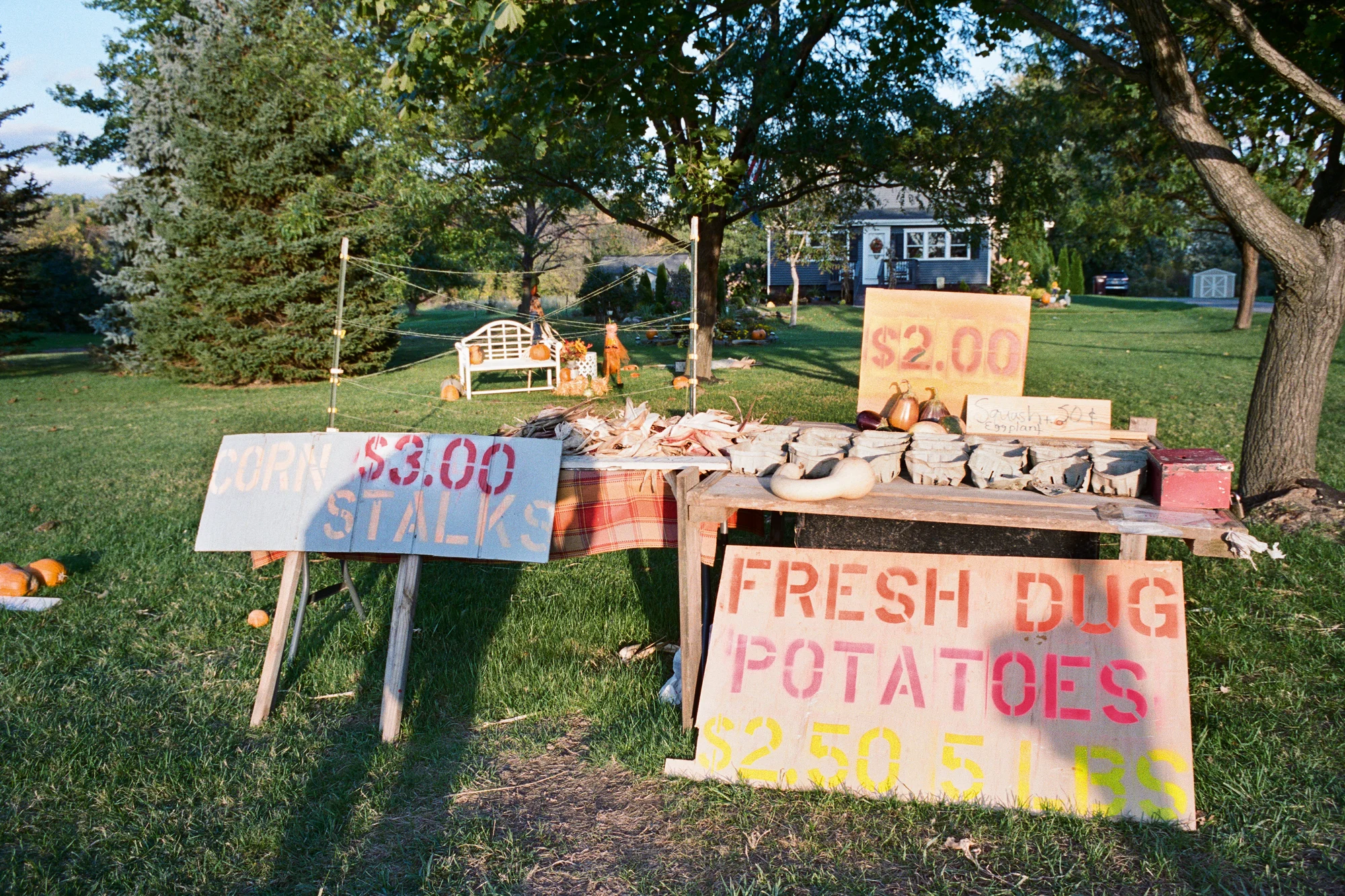 Fresh Dug Potatoes
