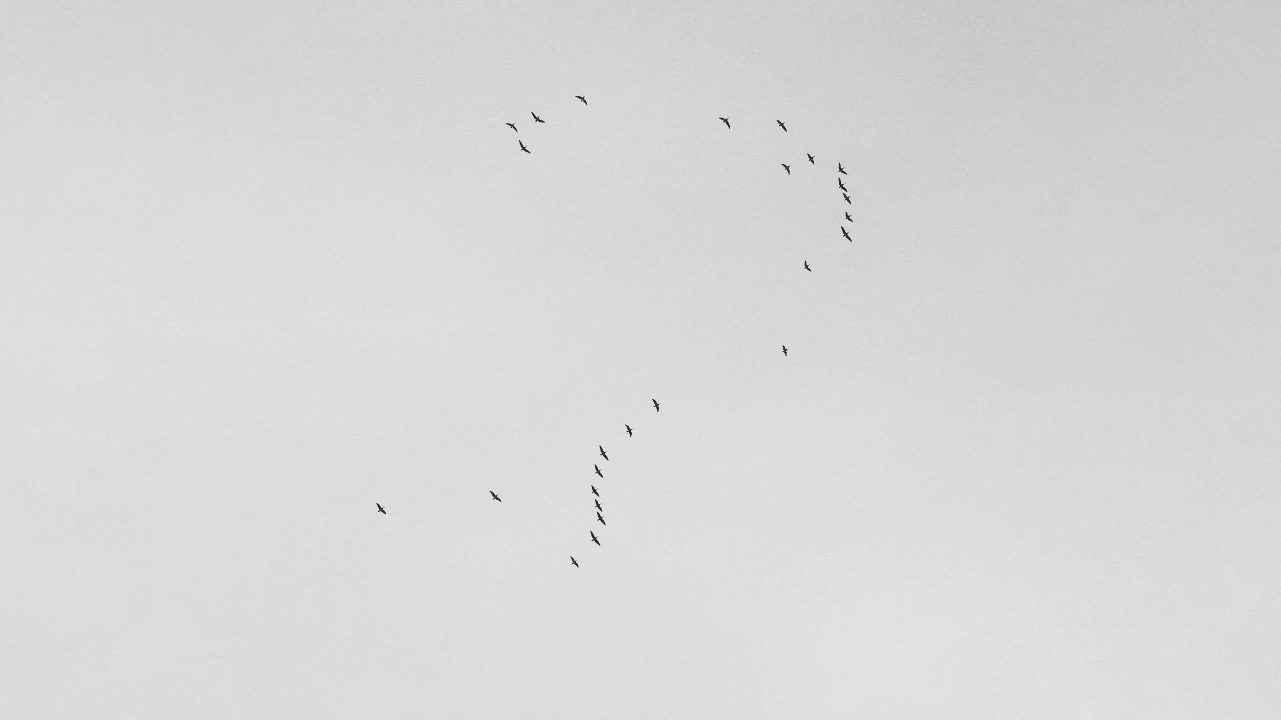 My parents don’t believe me when I say I’m depressed. How should I deal with this?