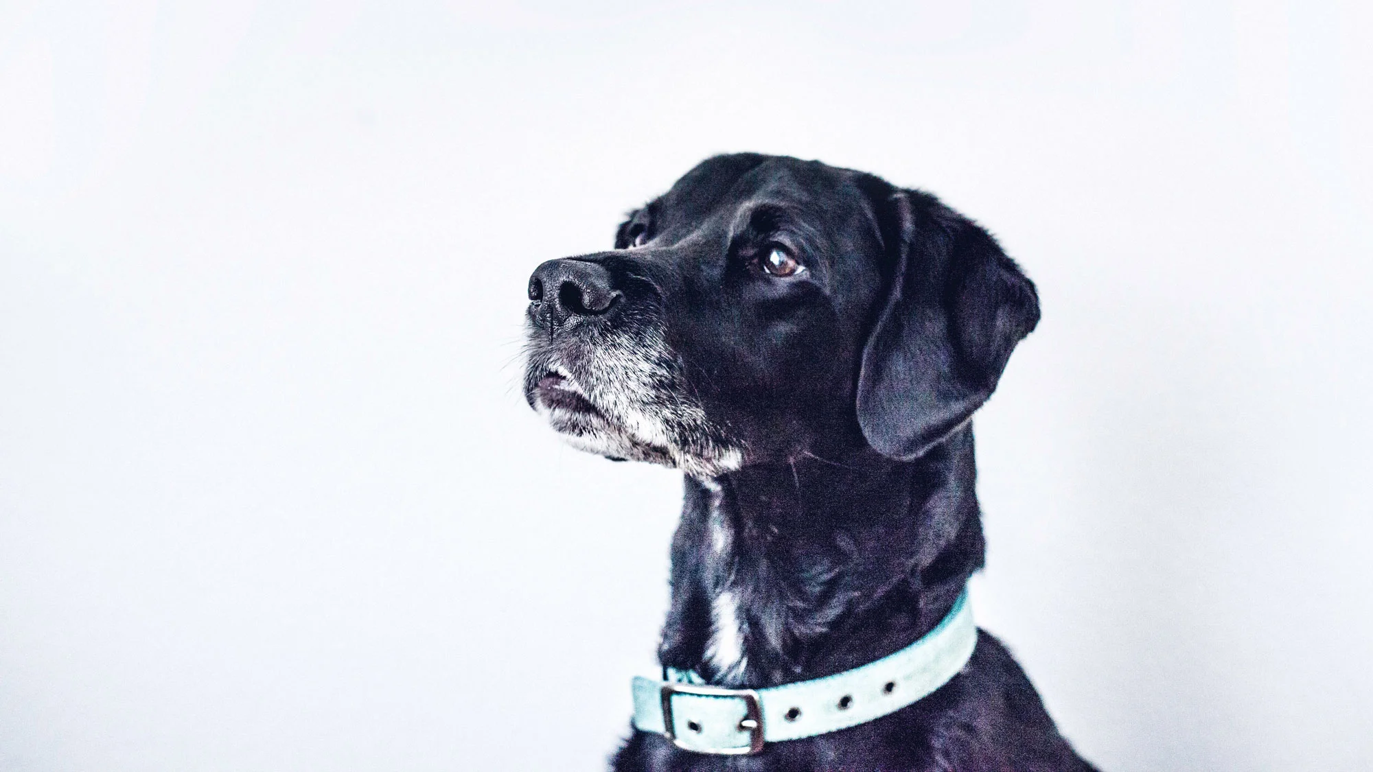 Ken Reid / Unsplash