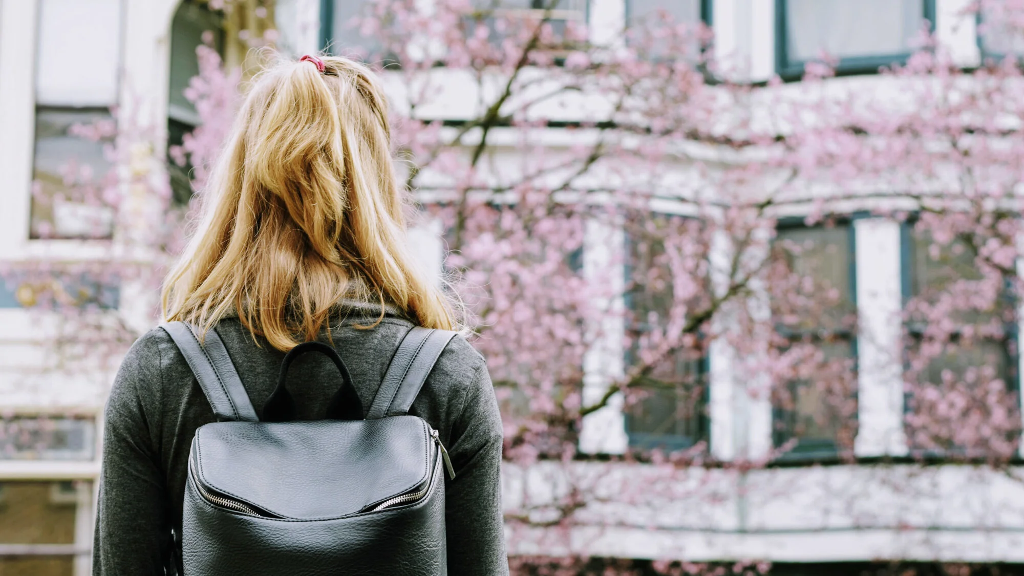 Mental Health Life Hacks for Students