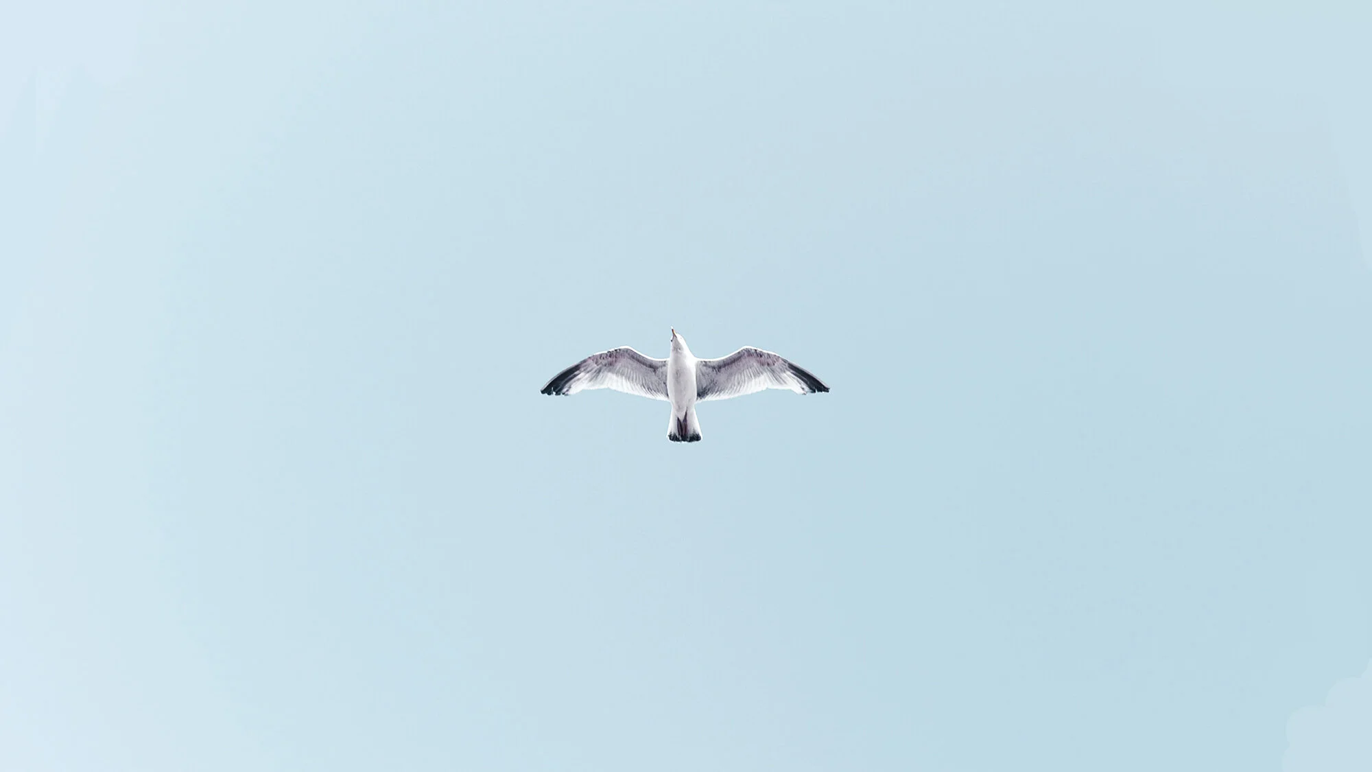 6 Ways To Feel Less Lonely