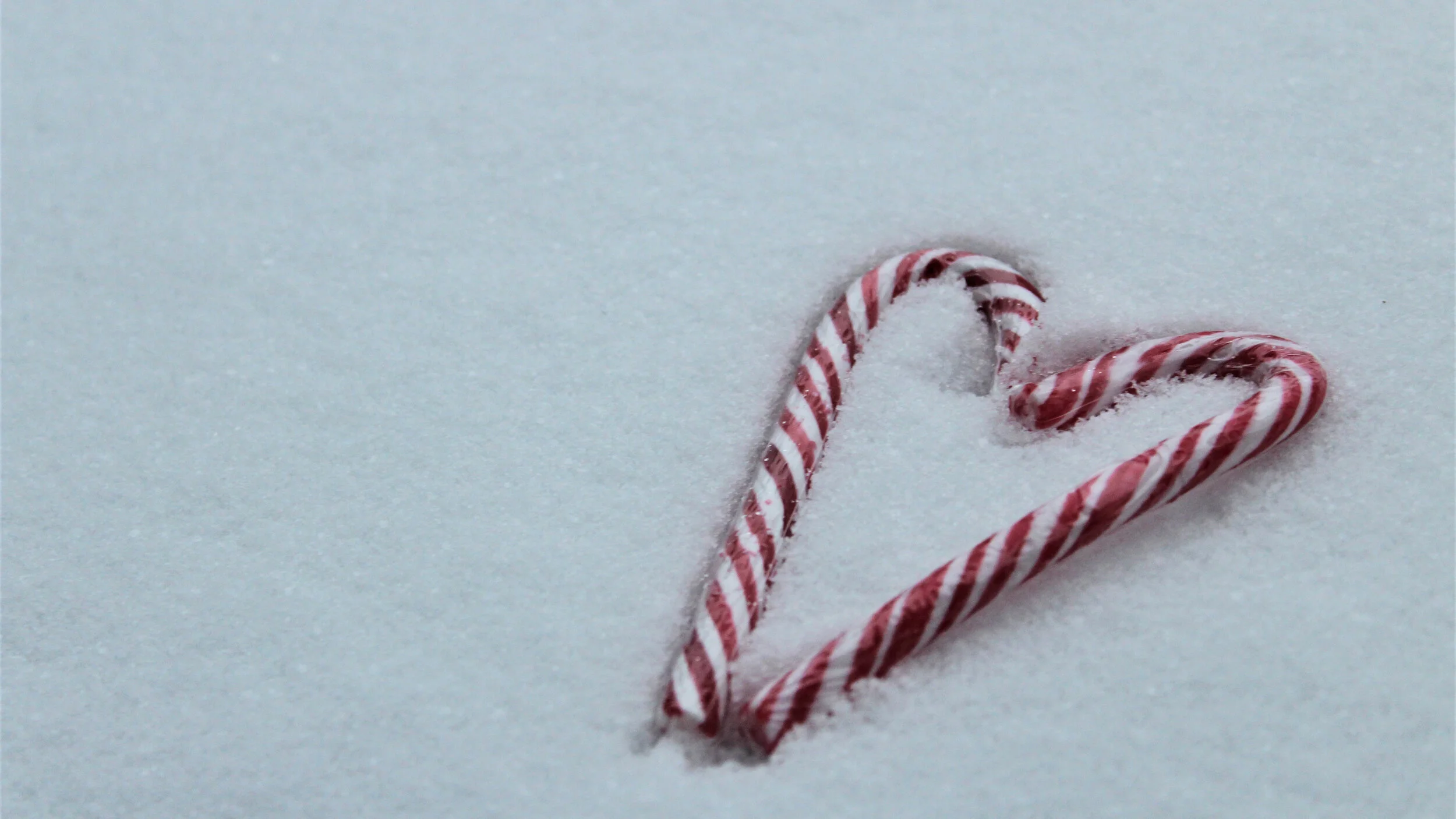 The Holidays Are Looking Very Different This Year