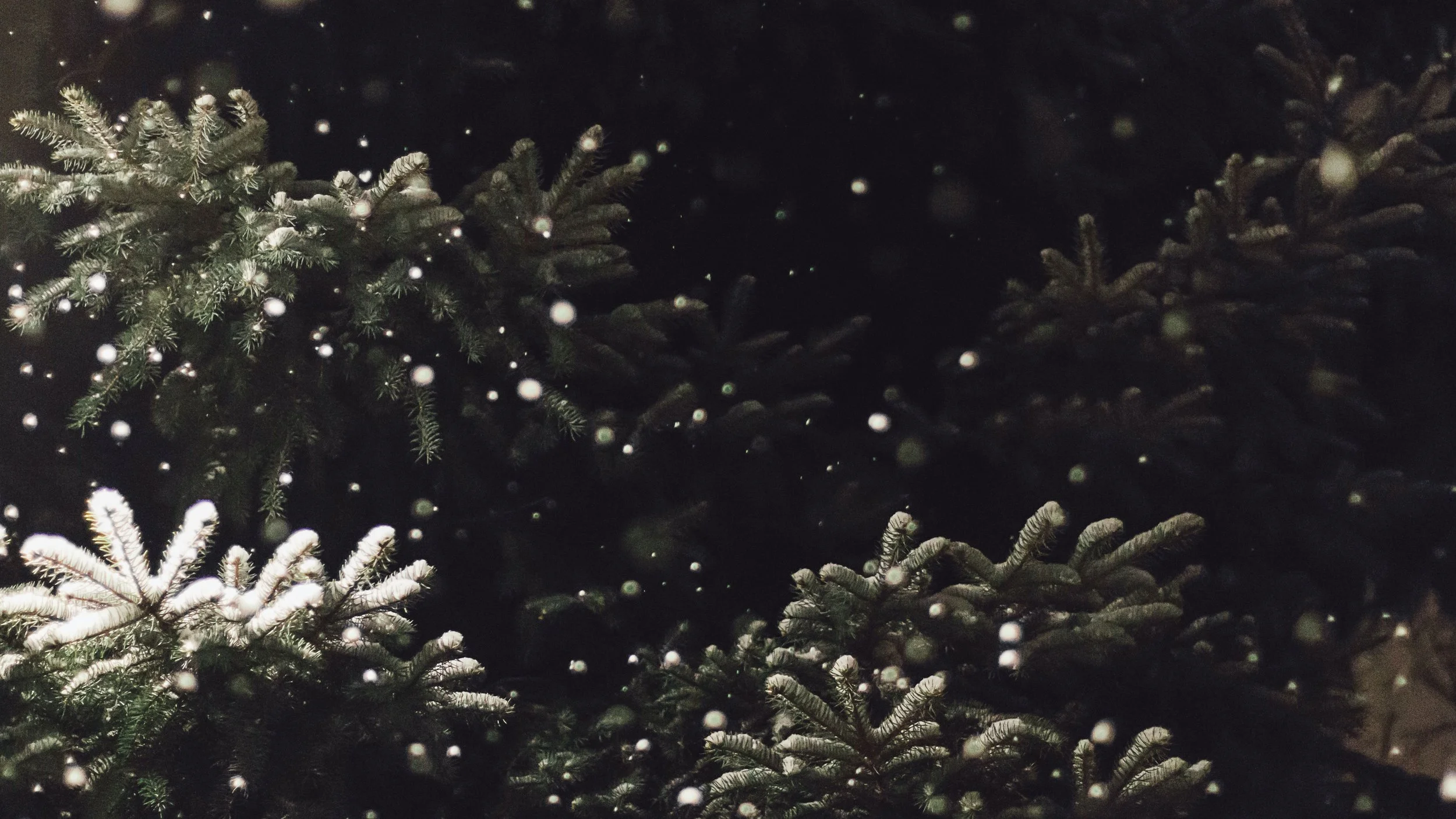 How to manage your trauma and triggers during the holidays