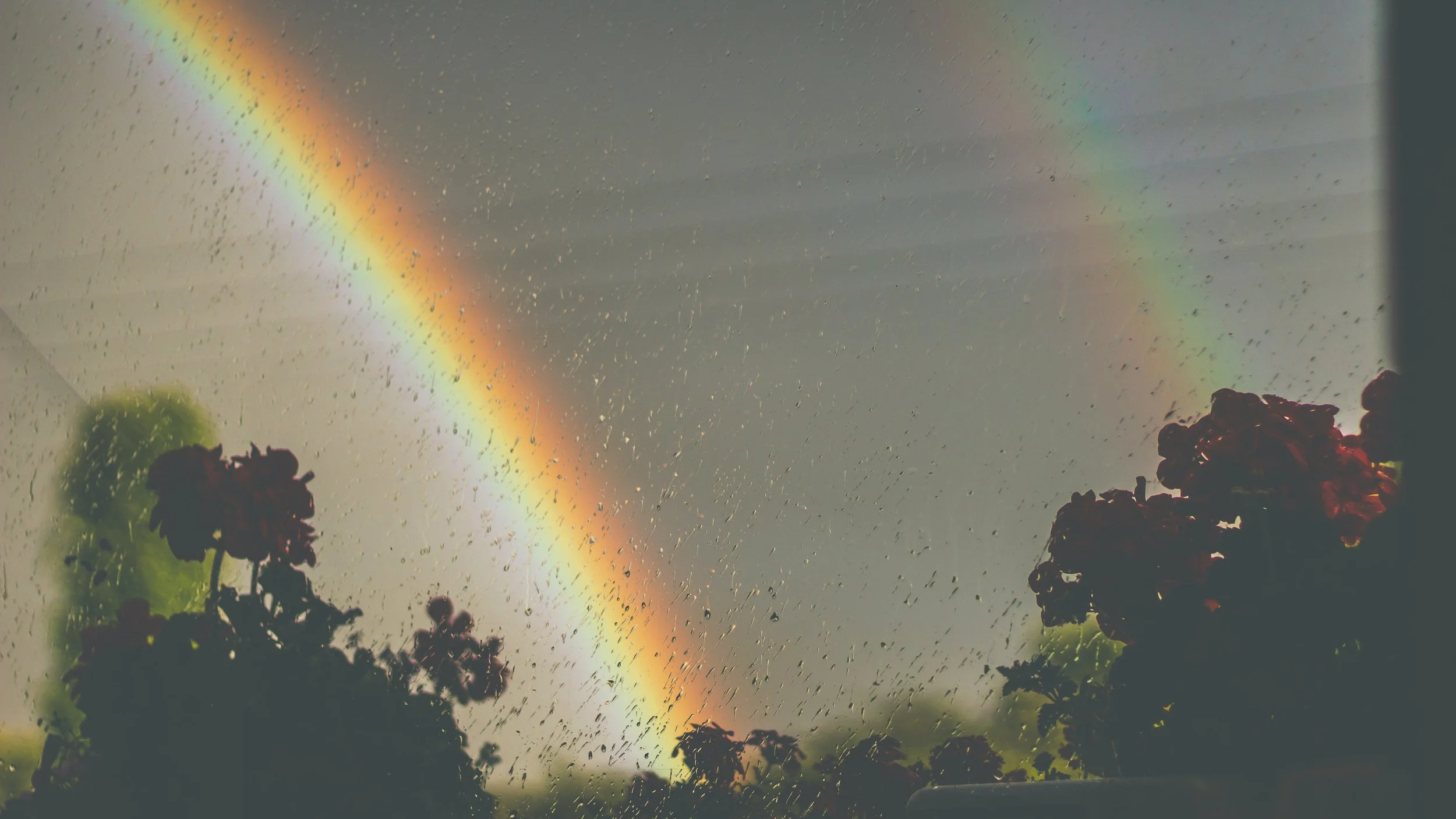 You survived a suicide attempt. Now what?