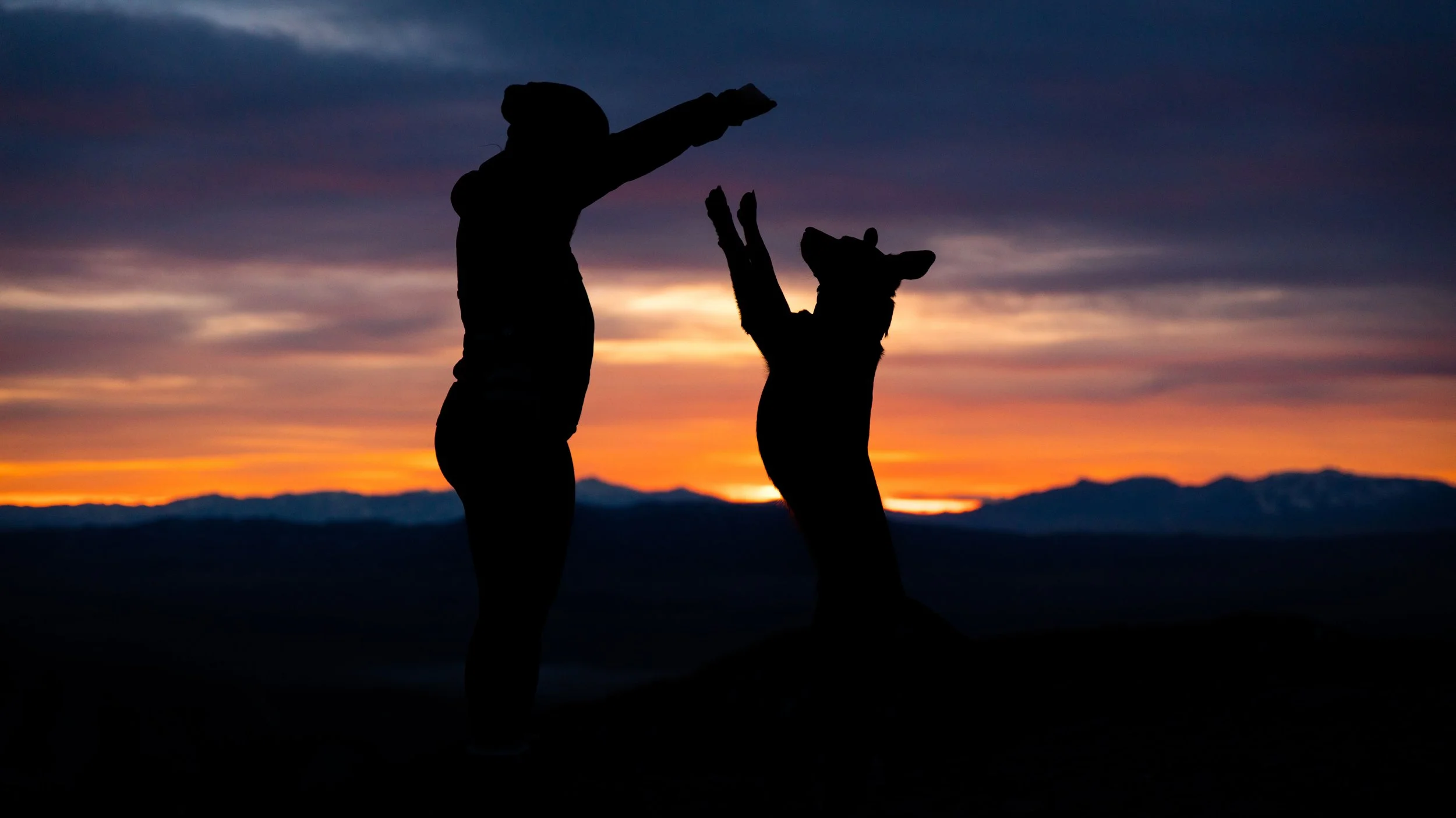 A love letter to Rocket