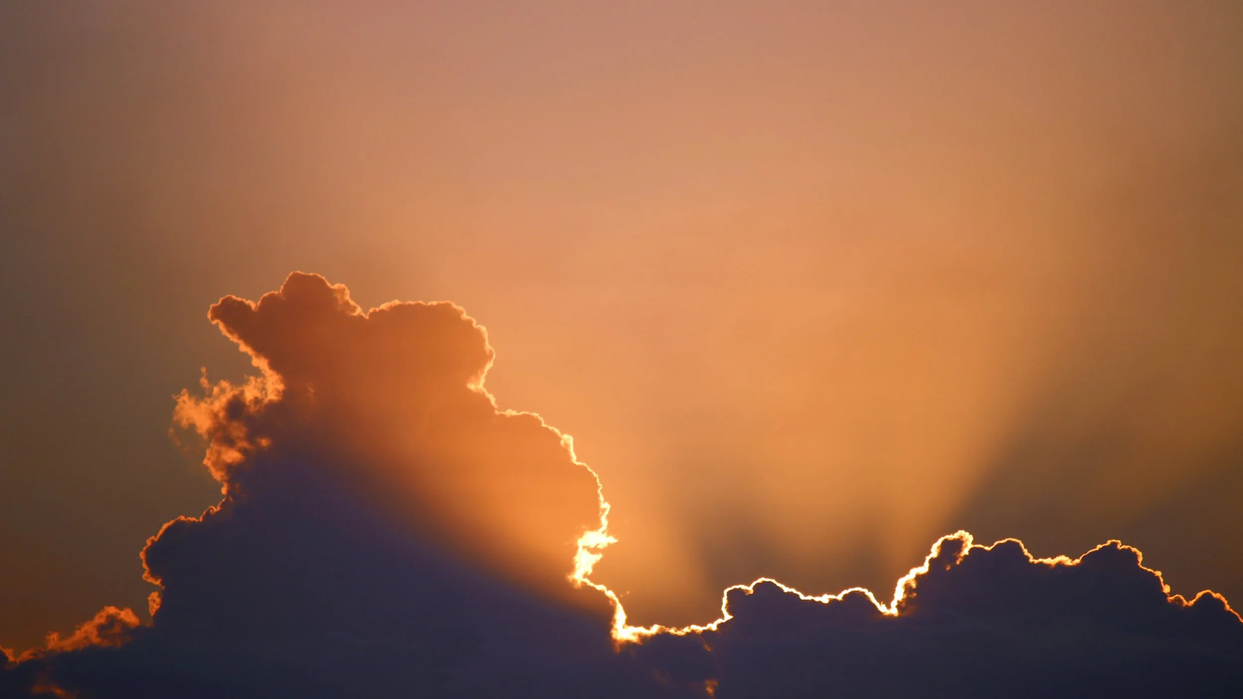 What happens if you tell your therapist you're suicidal?