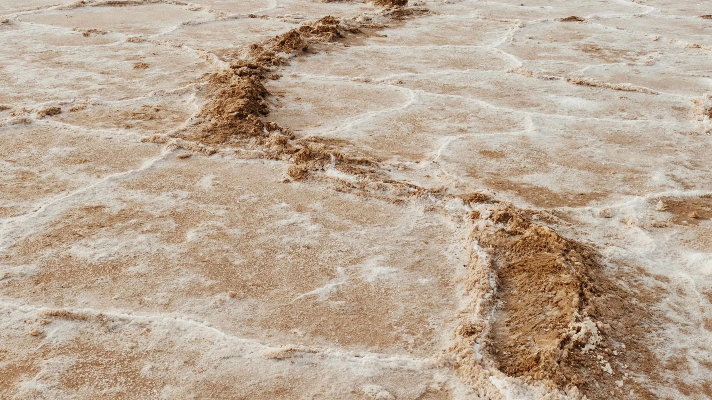 Family trauma doesn’t define you. You do.