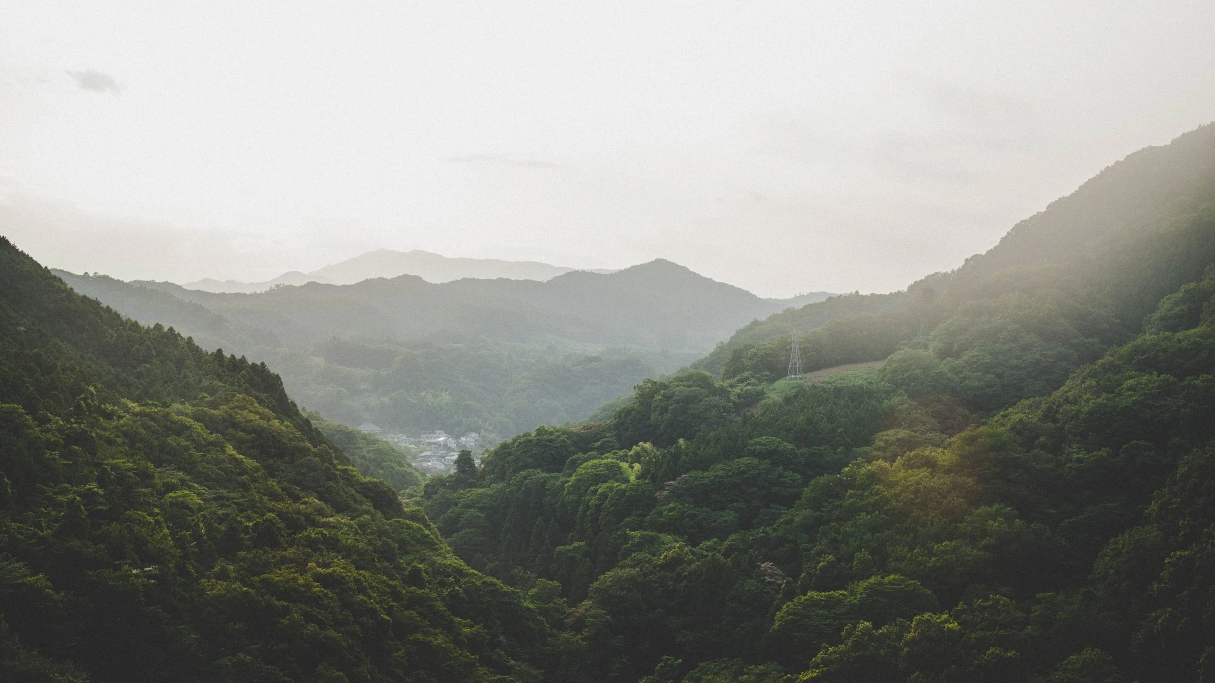 What does it mean to decolonize mental health?