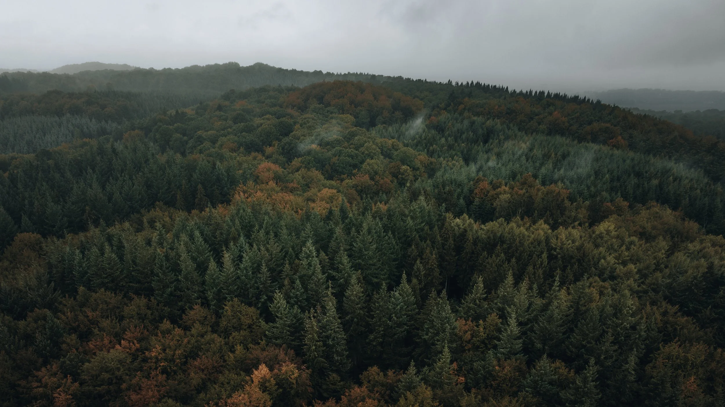 Don't press me, I'm antidepressant