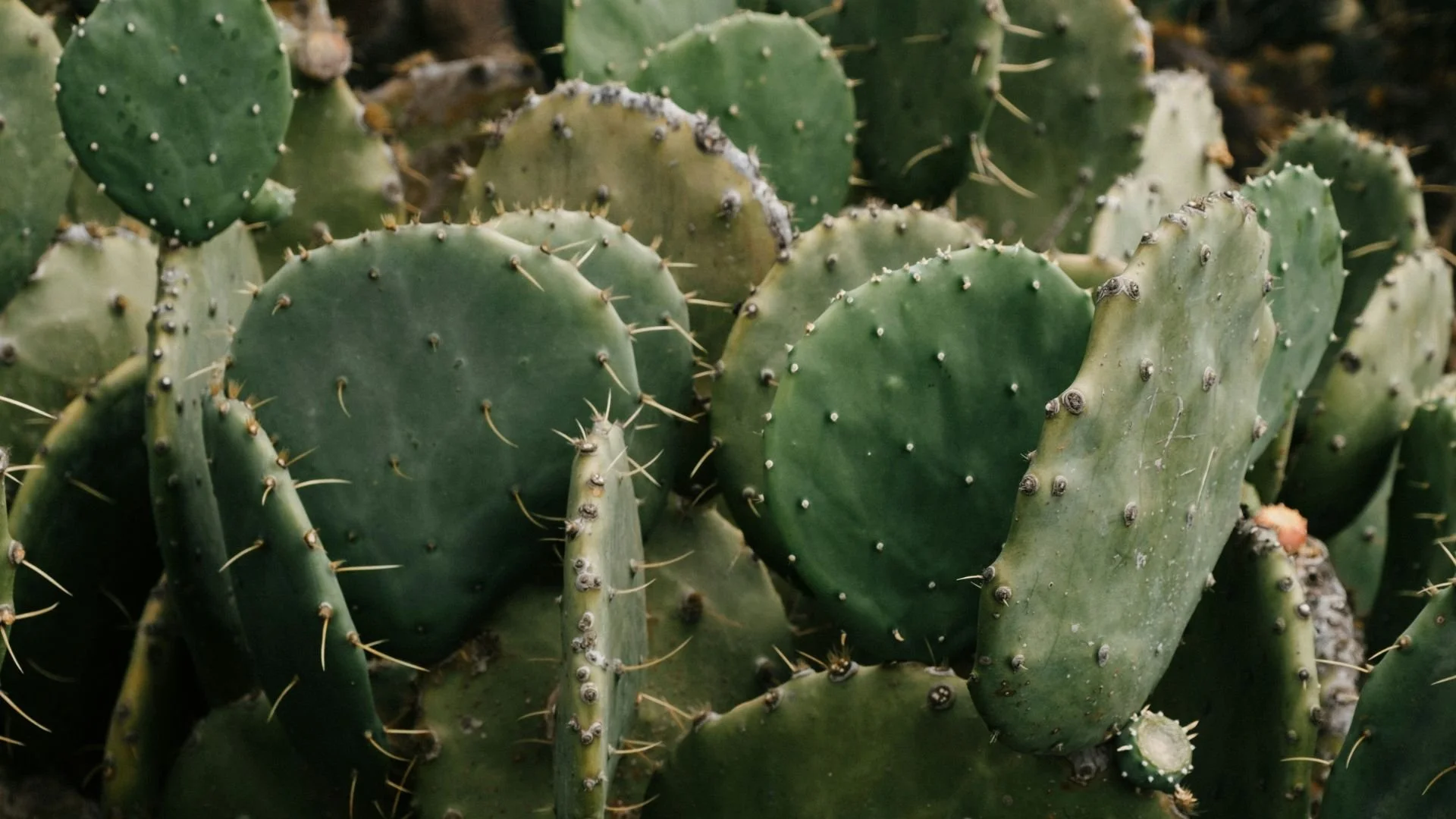 How do I cut out people who are endangering my mental health? 