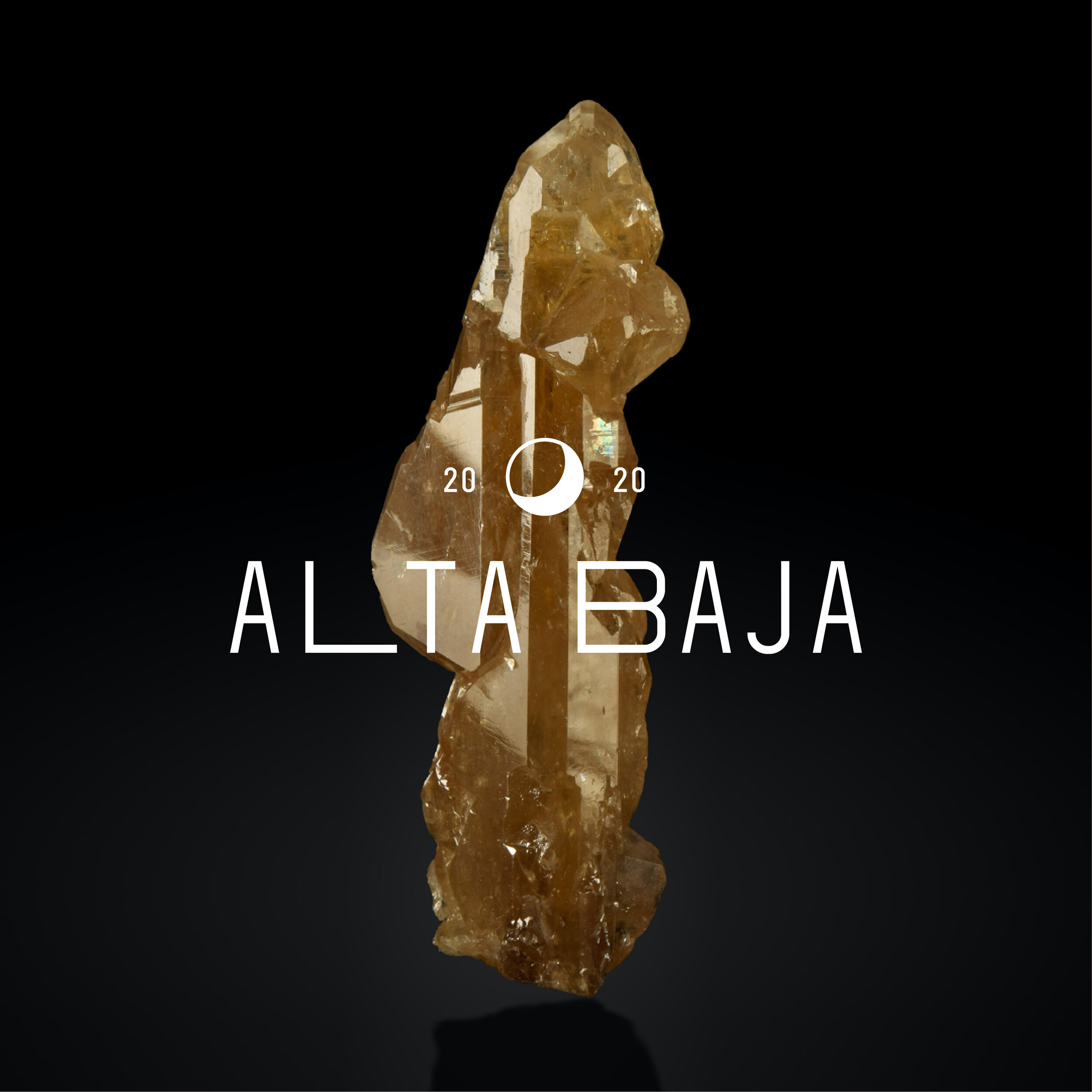 AltaBaja-09.jpg