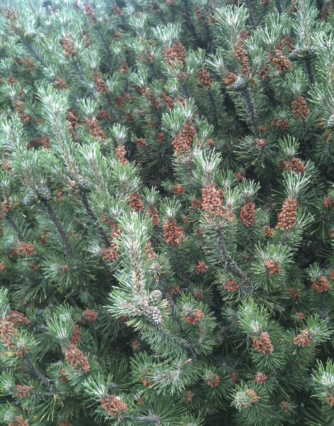 Untitled-2.jpg