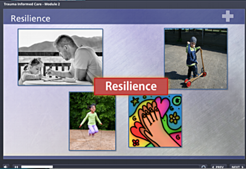the trauma-informed care toolkit gives providers the tools they need to integrate trauma-informed care into their daily interactions with families.