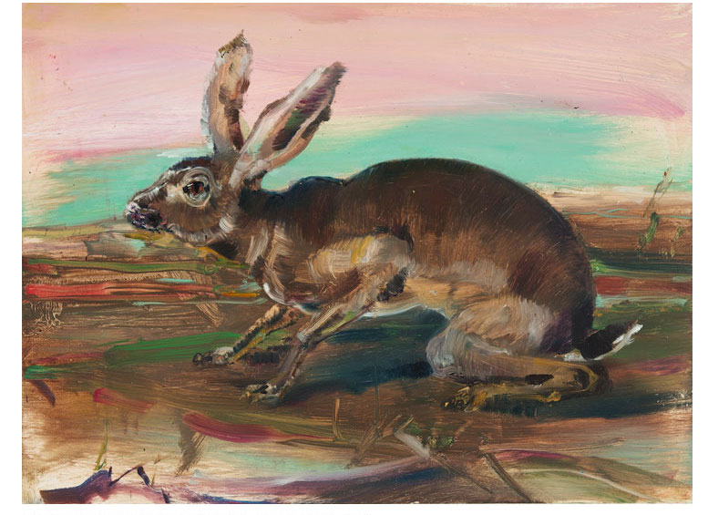 Audabon Duher Cover of a Hare