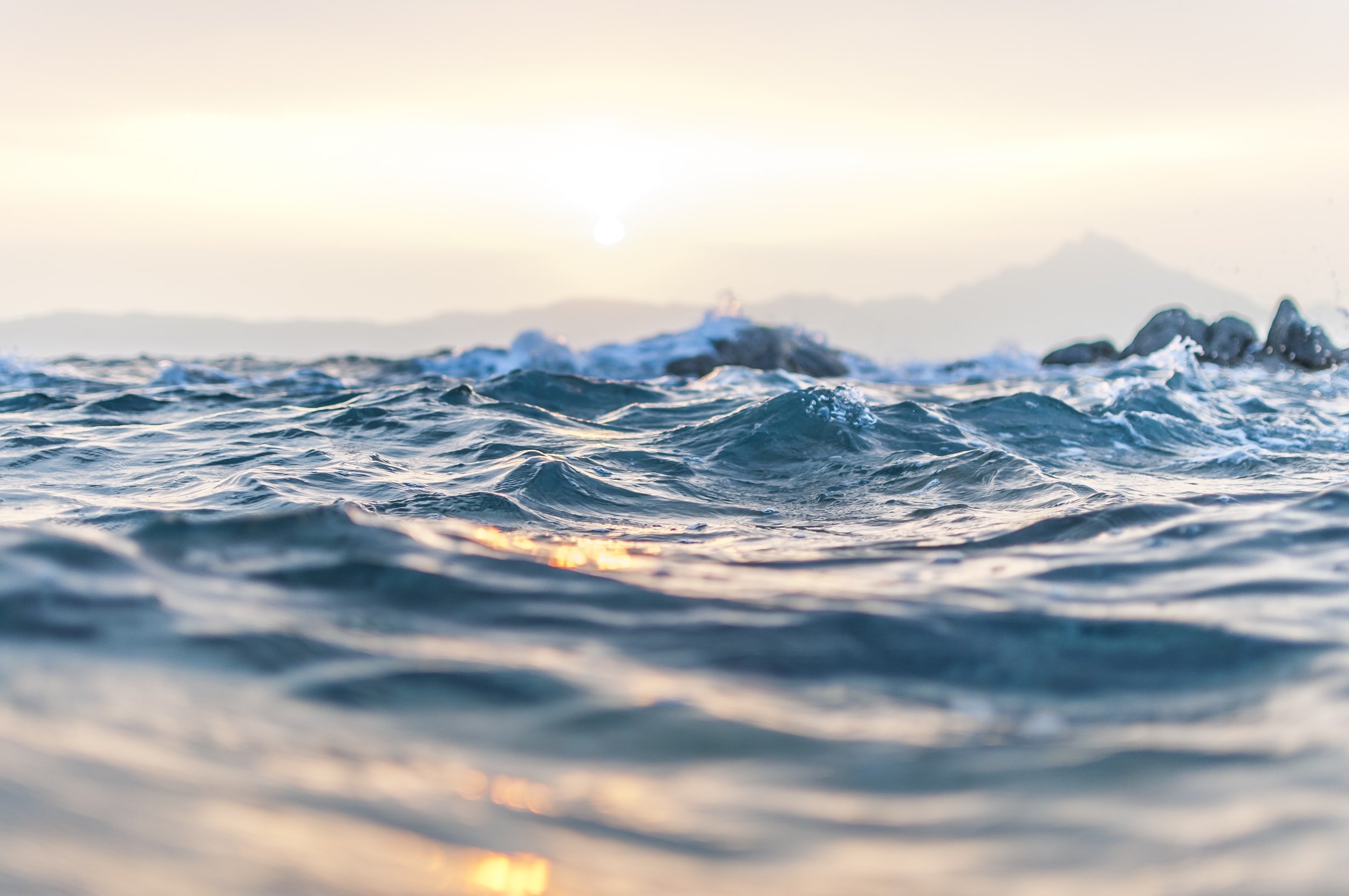 unsplash-image-CTivHyiTbFw.jpg