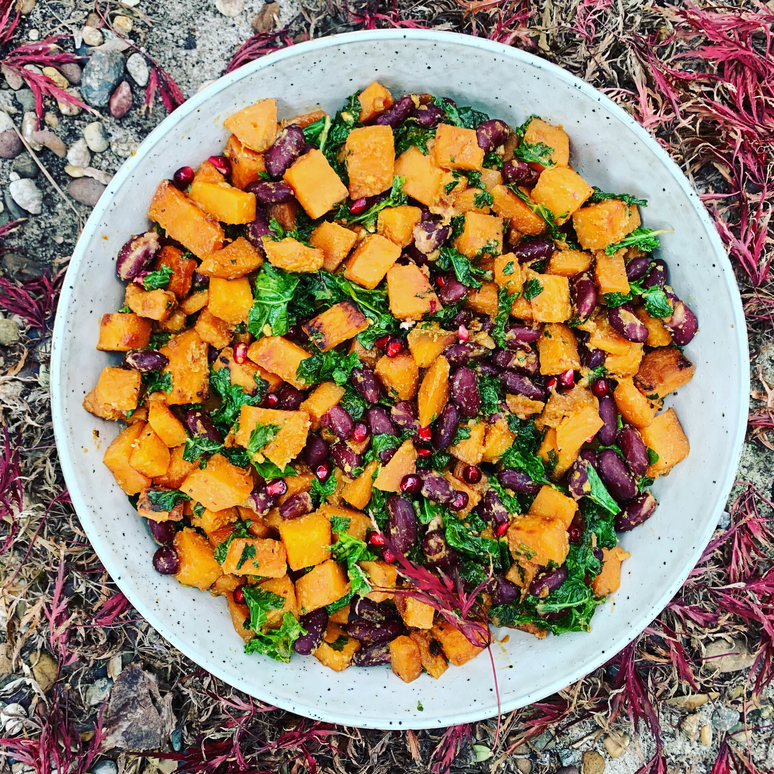 Sweet Potato, Kale and Bean Salad 