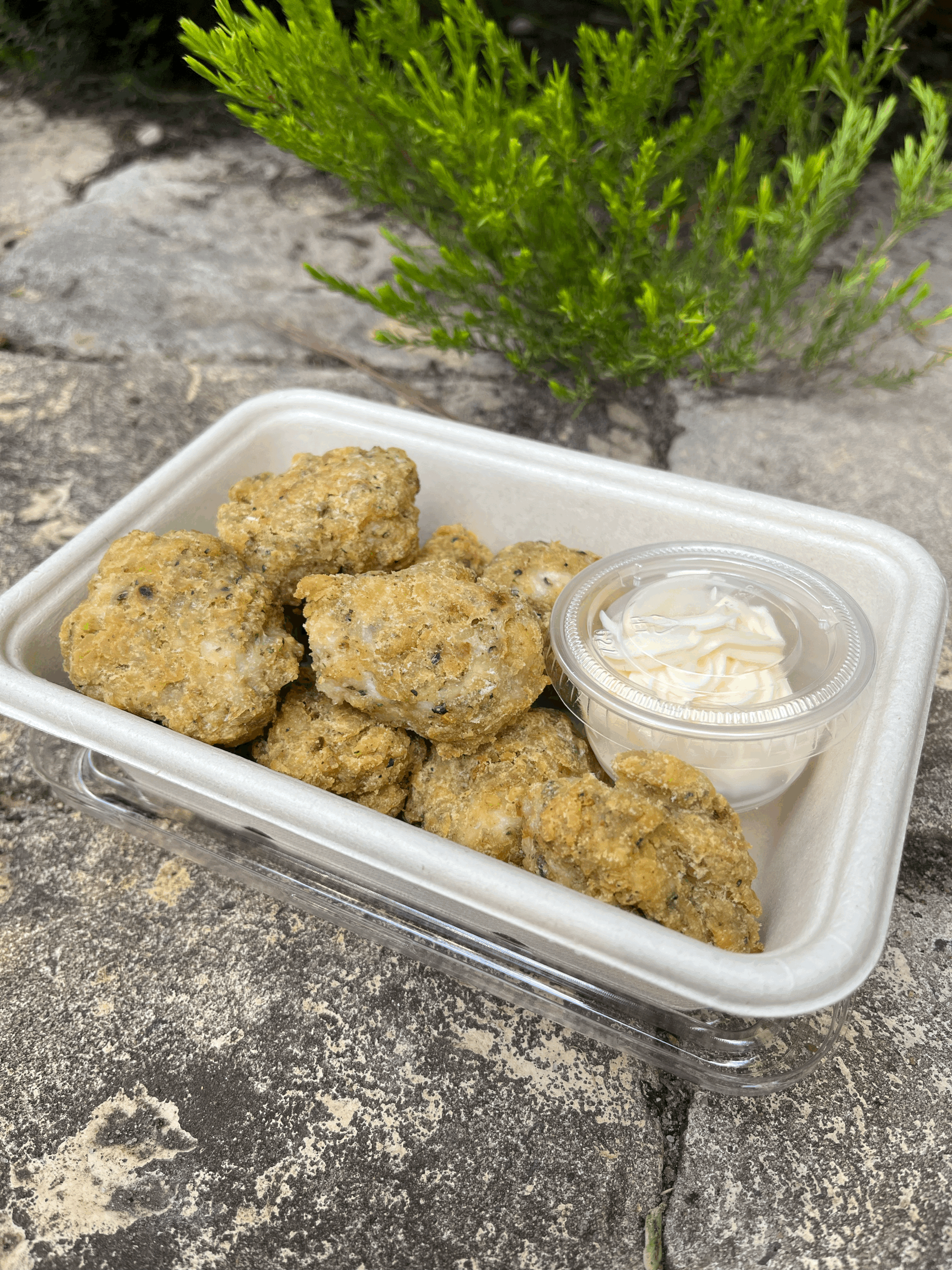 Chicken and Herbed Nuggets w Japanese Mayo