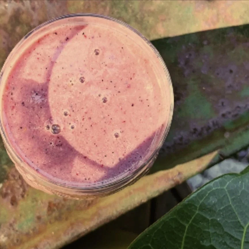 Papaya Gut Smoothie 