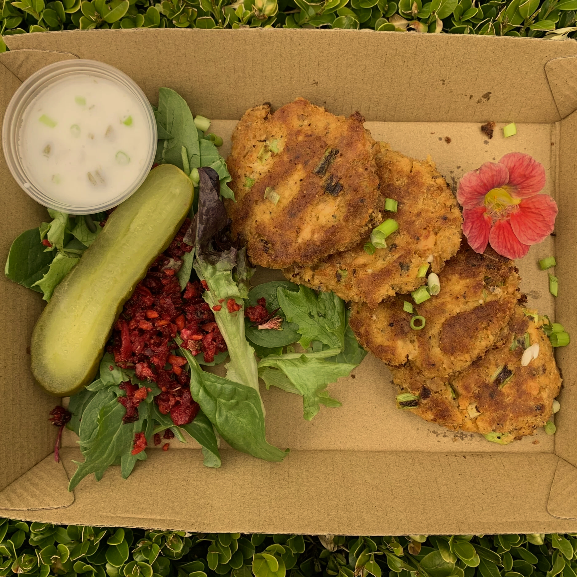 Salmon Patties & Salad