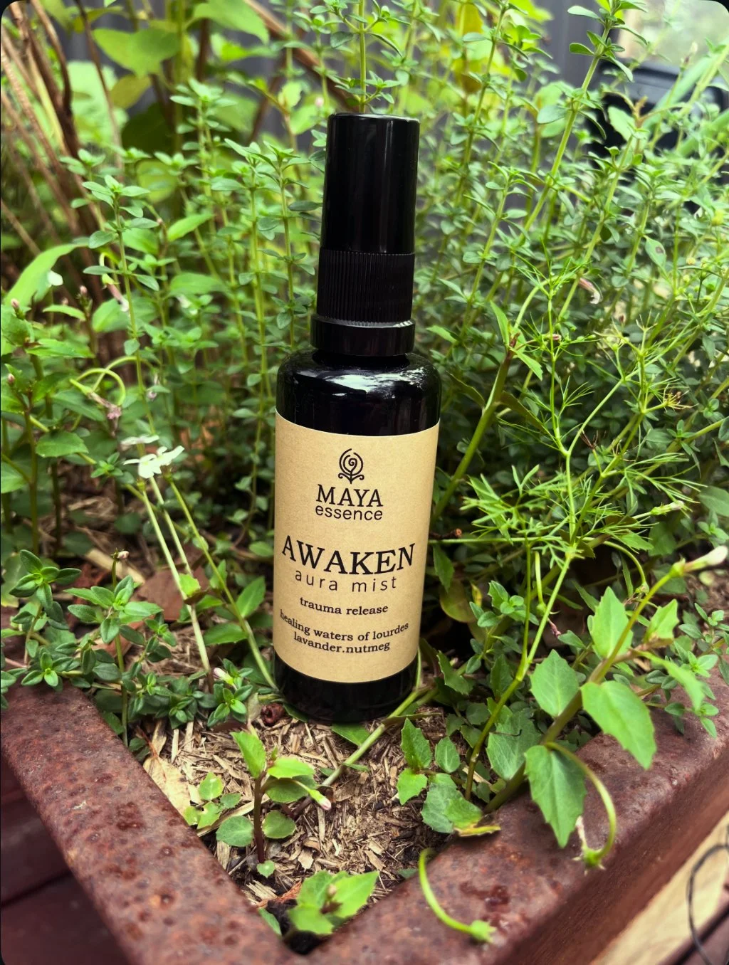 Awaken Aura Mist 50ml