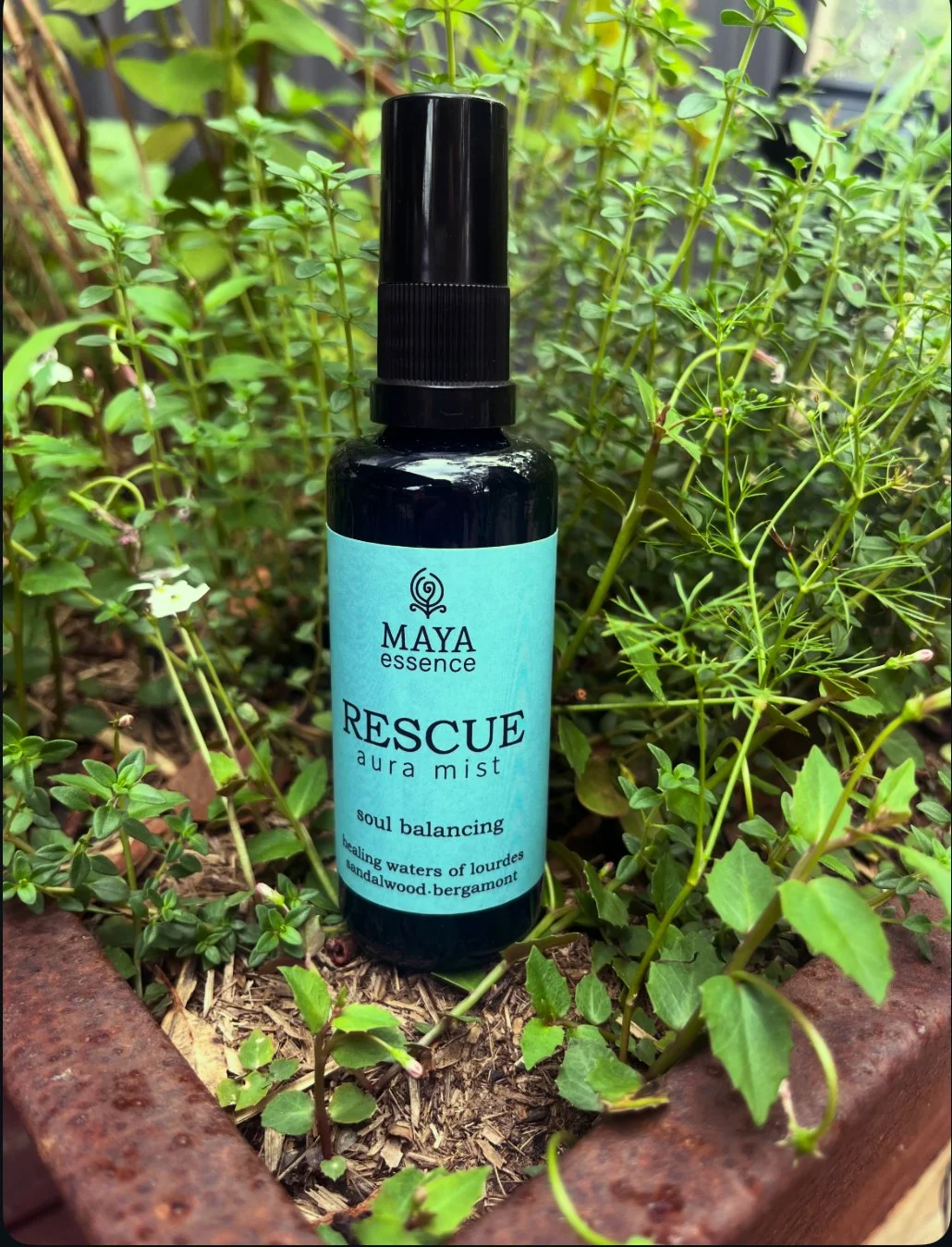 RESCUE Aura Mist 50ml