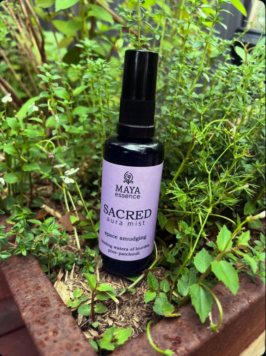 SACRED Aura Mist 50ml