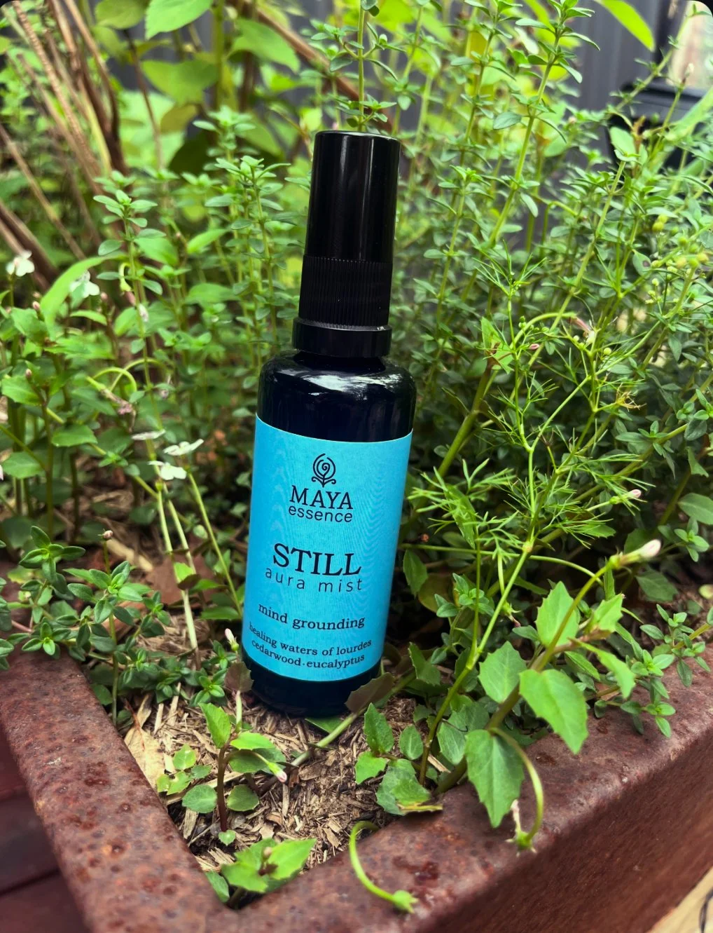 STILL Aura Mist 50ml