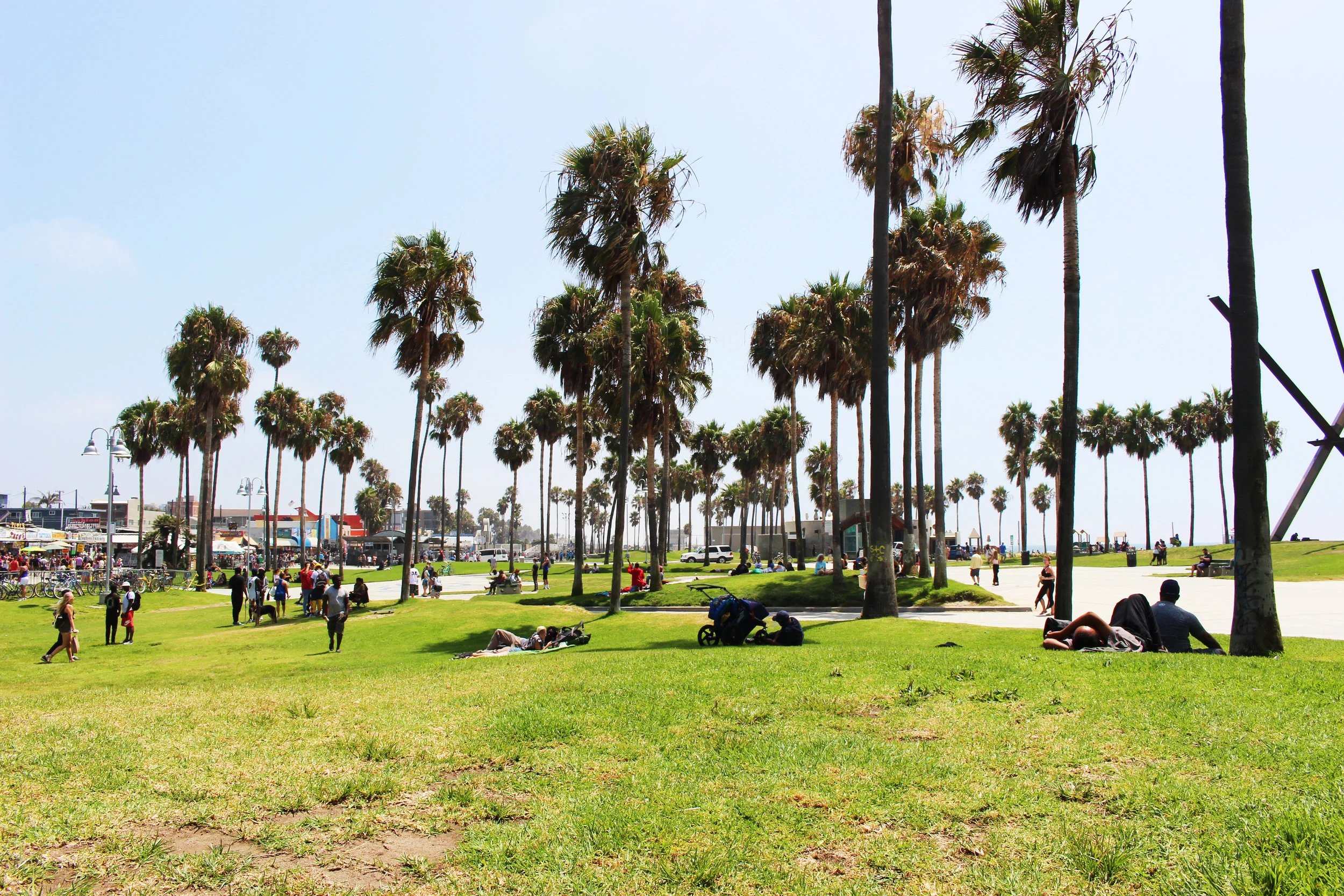 Venice Trees .jpg